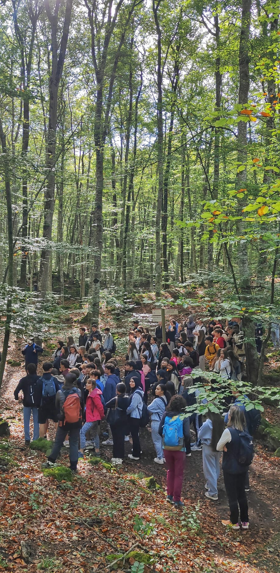 WhatsApp Image 2024-10-17 at 11.07.59 (1)