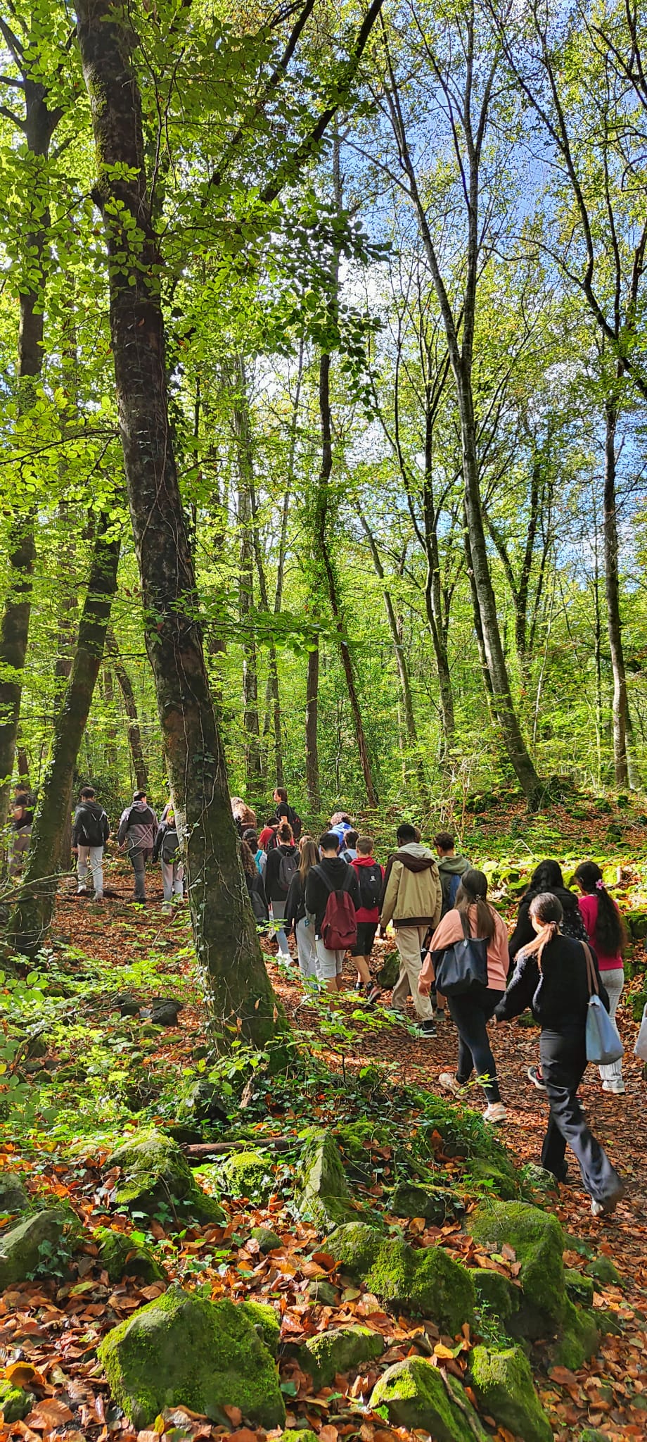 WhatsApp Image 2024-10-17 at 11.08.00