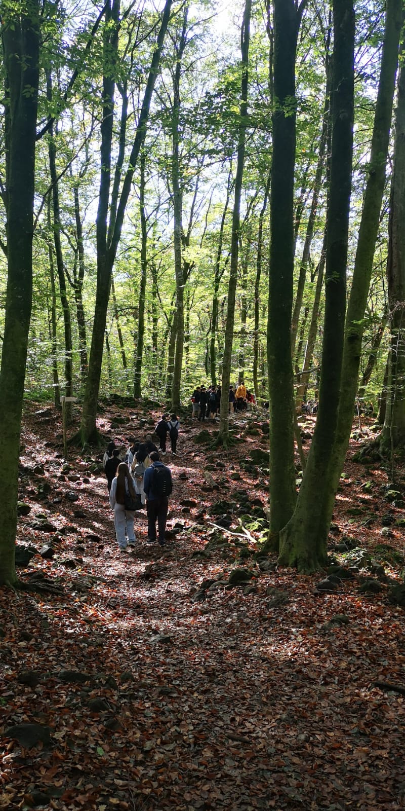 WhatsApp Image 2024-10-17 at 11.08.25 (1)