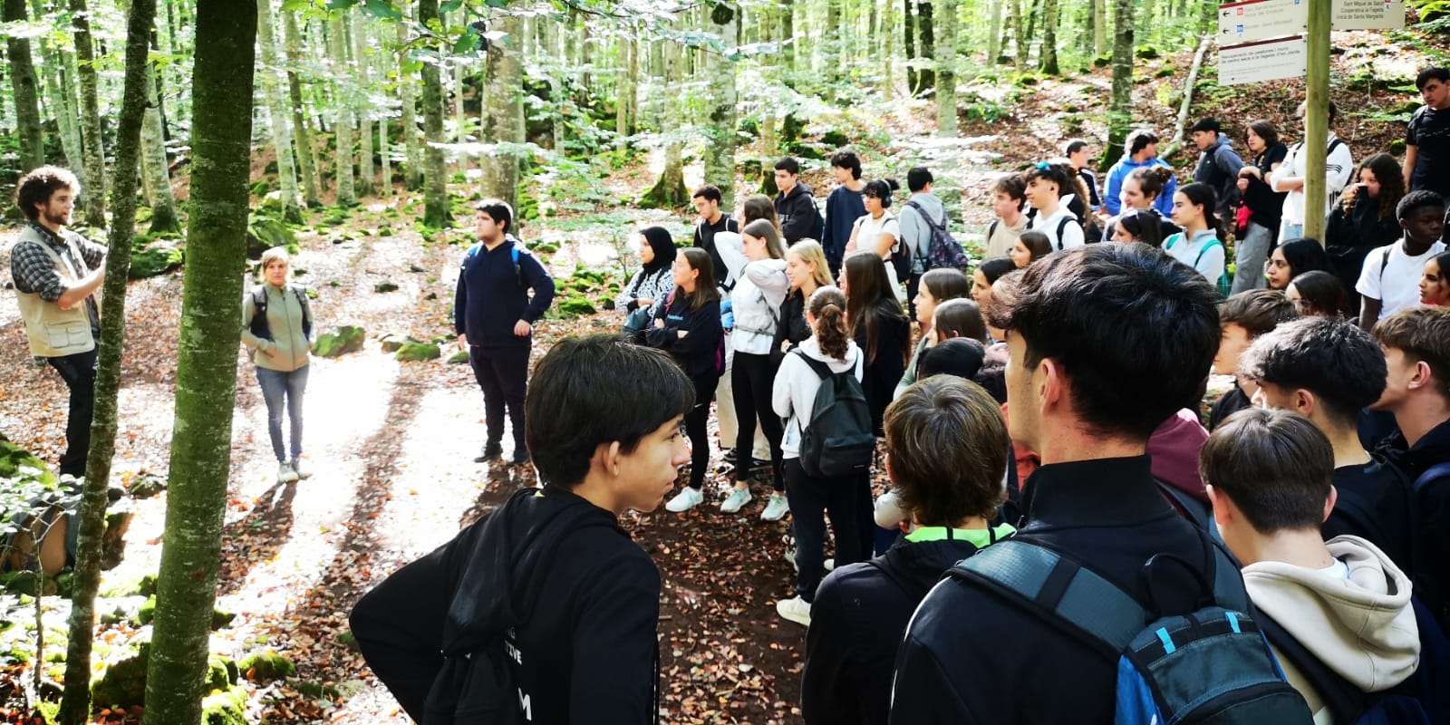 WhatsApp Image 2024-10-17 at 11.08.26 (1)