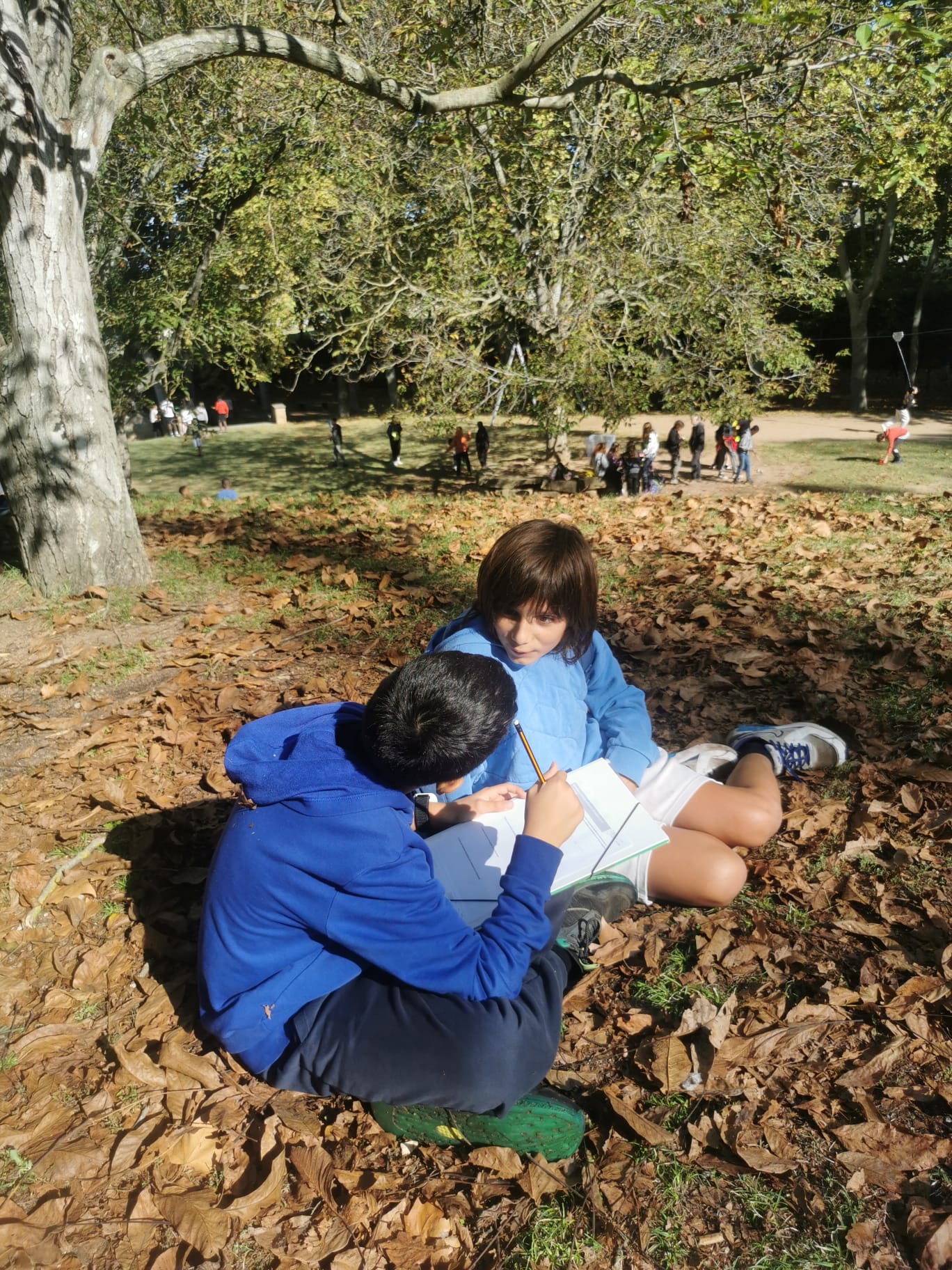 WhatsApp Image 2024-10-17 at 11.13.25 (1)