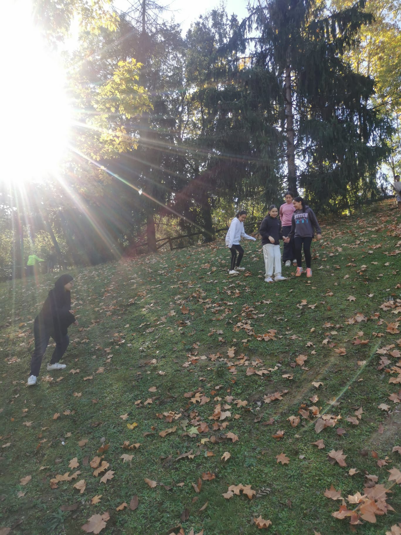 WhatsApp Image 2024-10-17 at 11.13.25 (2)