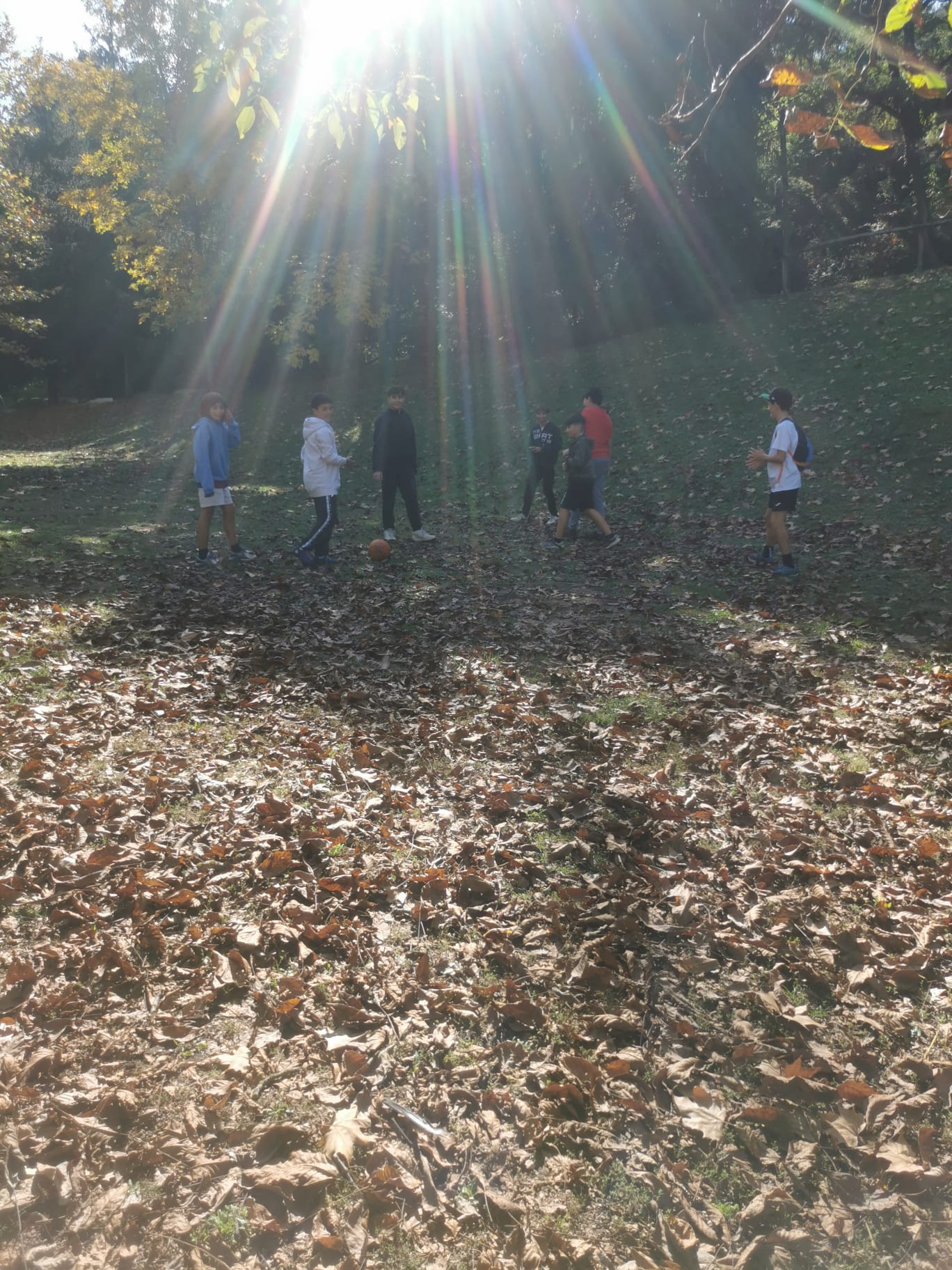 WhatsApp Image 2024-10-17 at 11.13.25