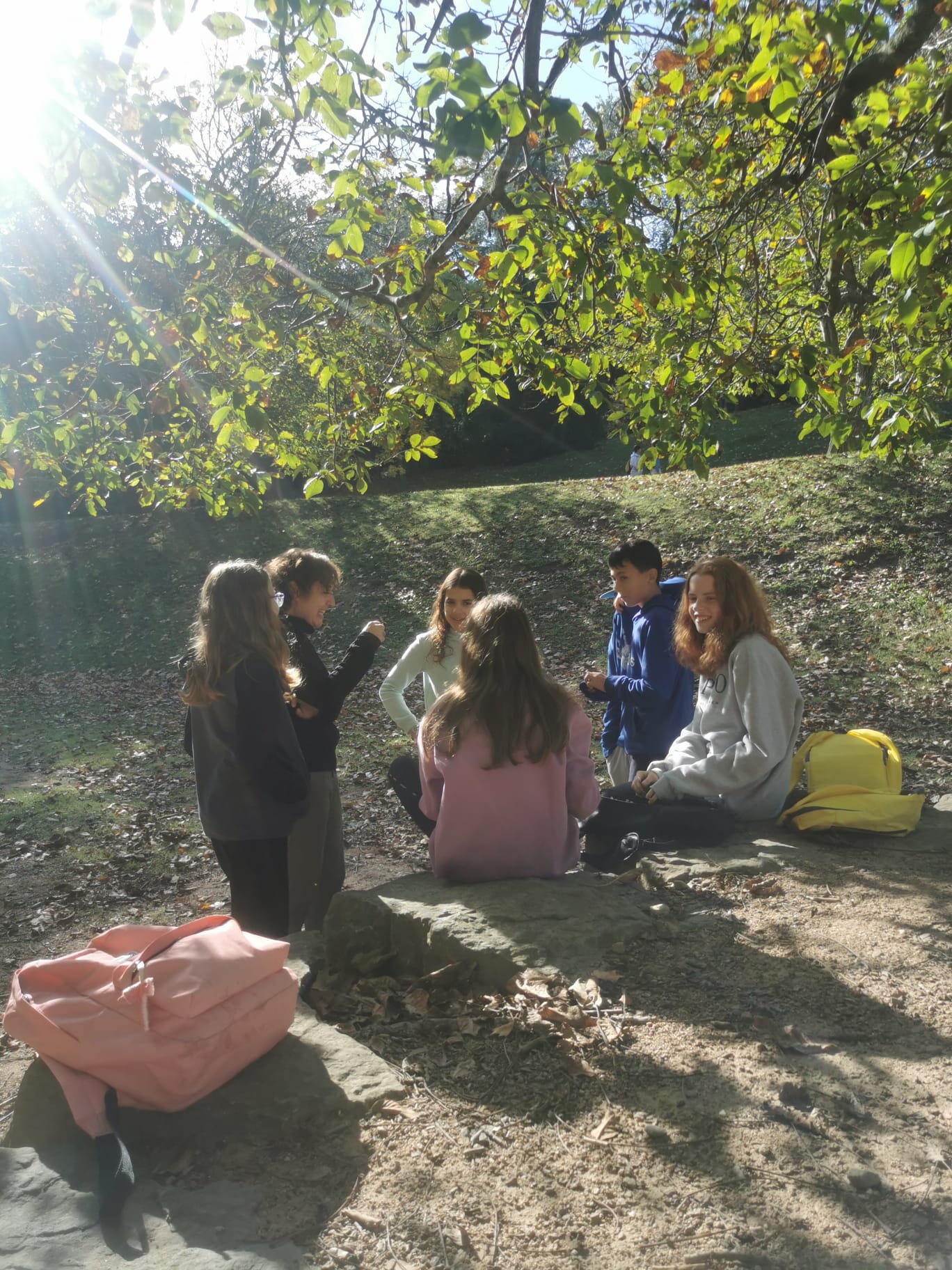 WhatsApp Image 2024-10-17 at 11.13.26 (1)