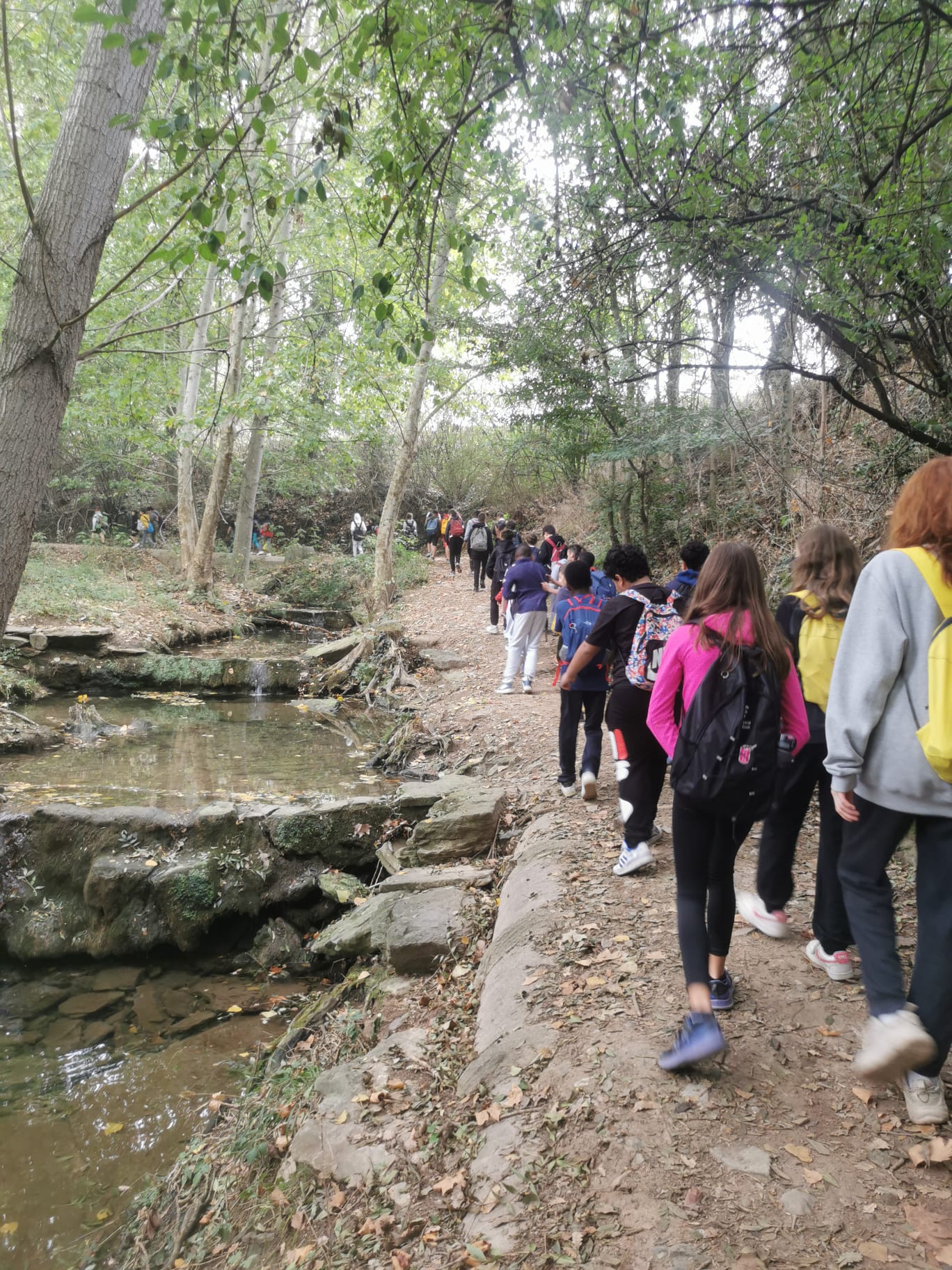 WhatsApp Image 2024-10-17 at 11.13.26 (2)