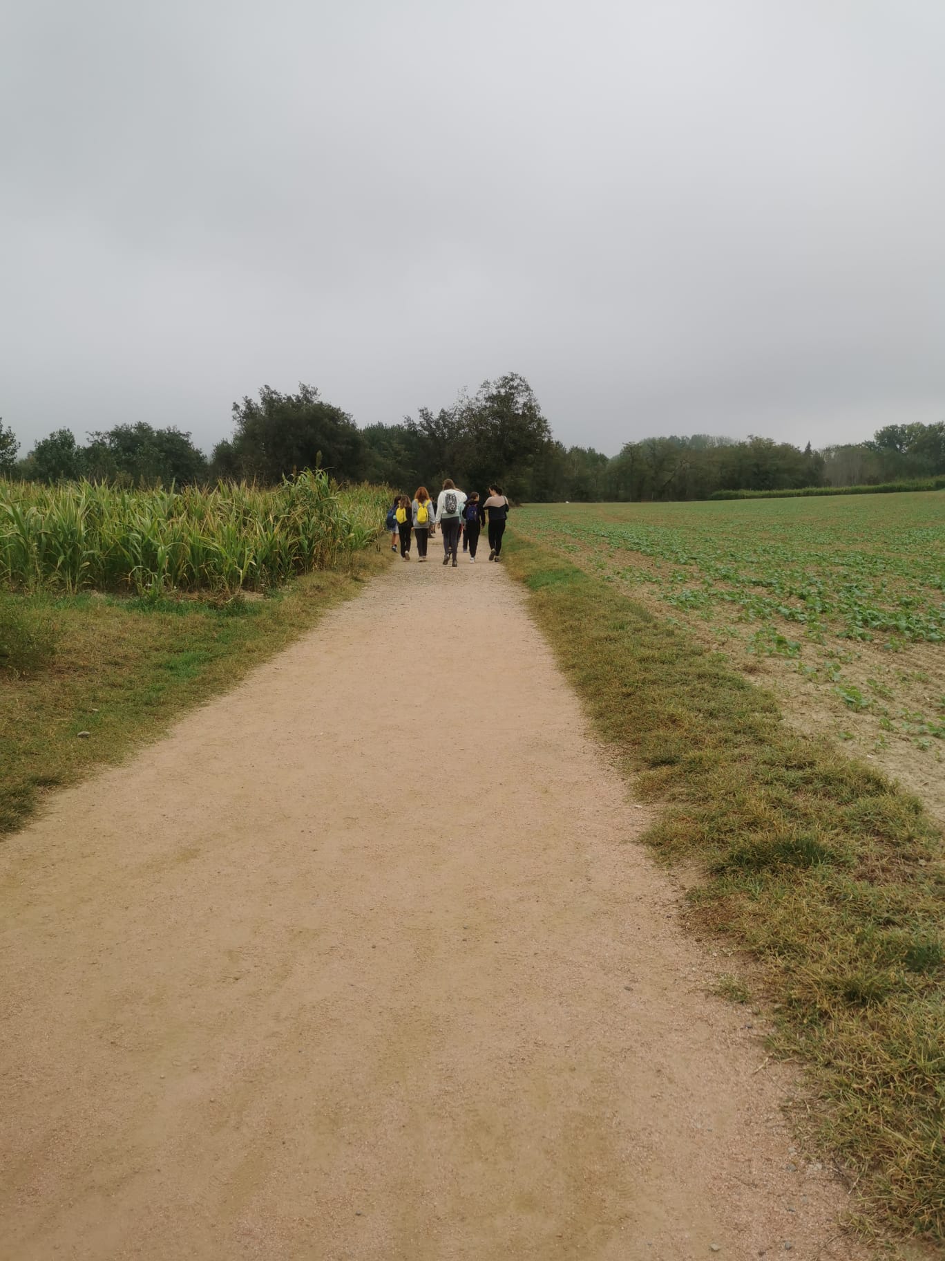 WhatsApp Image 2024-10-17 at 11.13.27 (1)