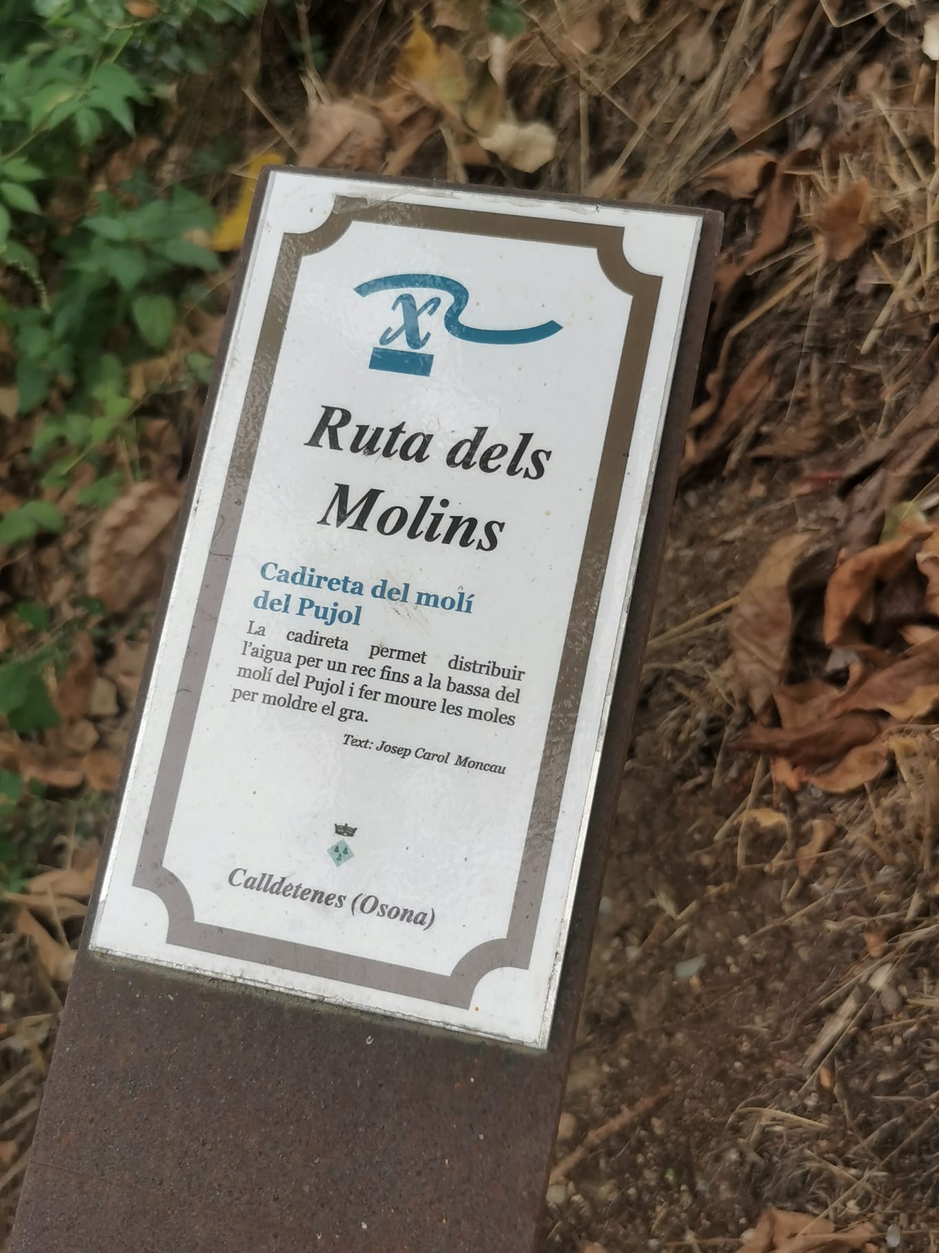 WhatsApp Image 2024-10-17 at 11.13.27