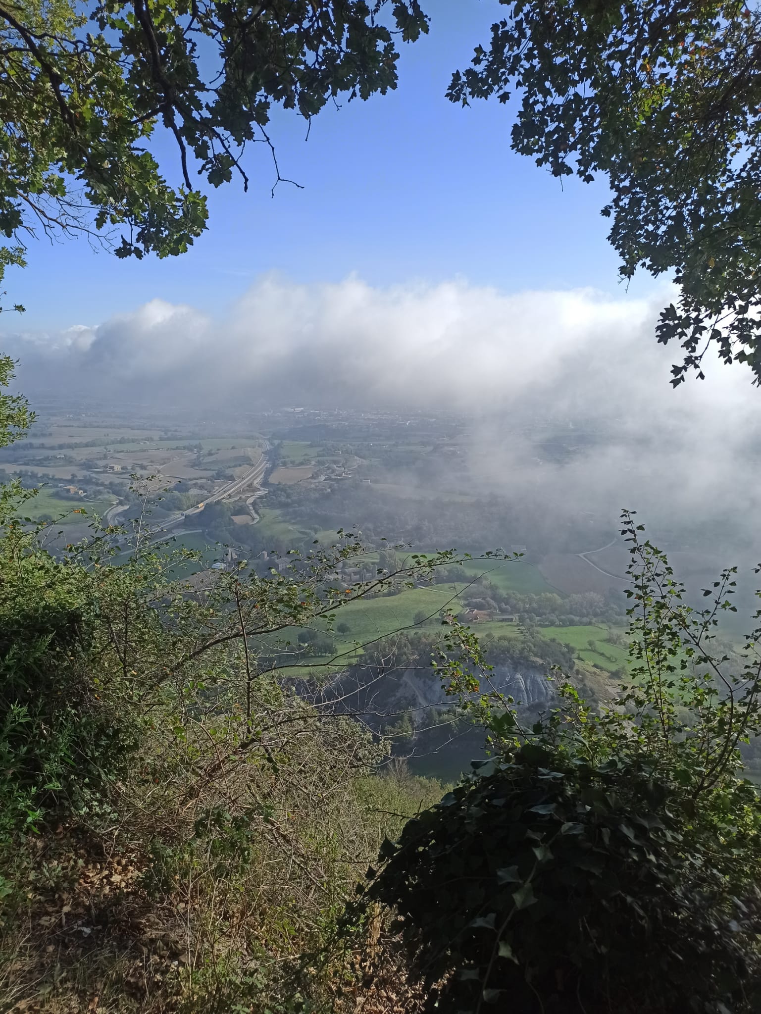 WhatsApp Image 2024-10-17 at 11.14.54