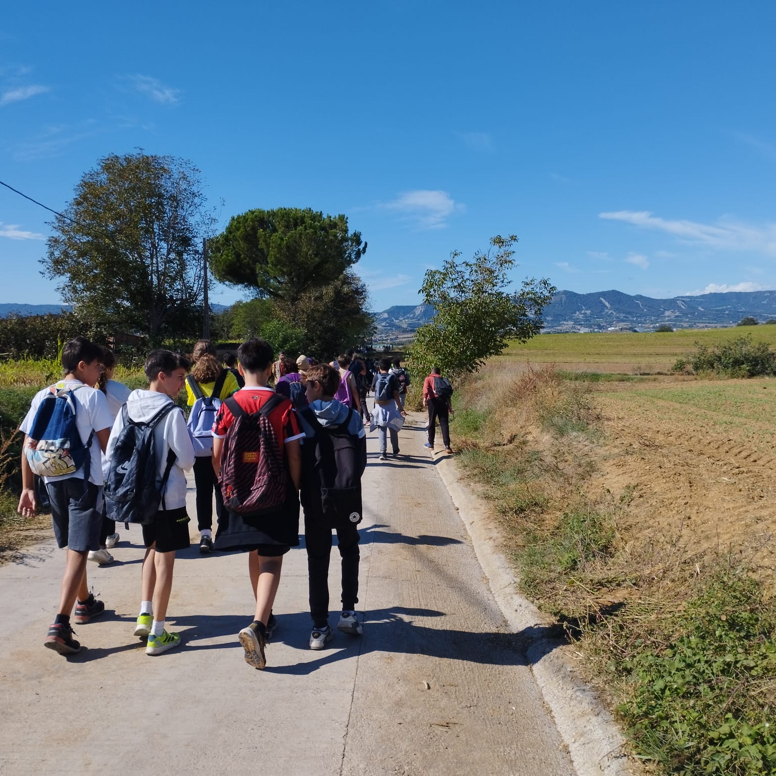 WhatsApp Image 2024-10-17 at 11.18.02 (1)