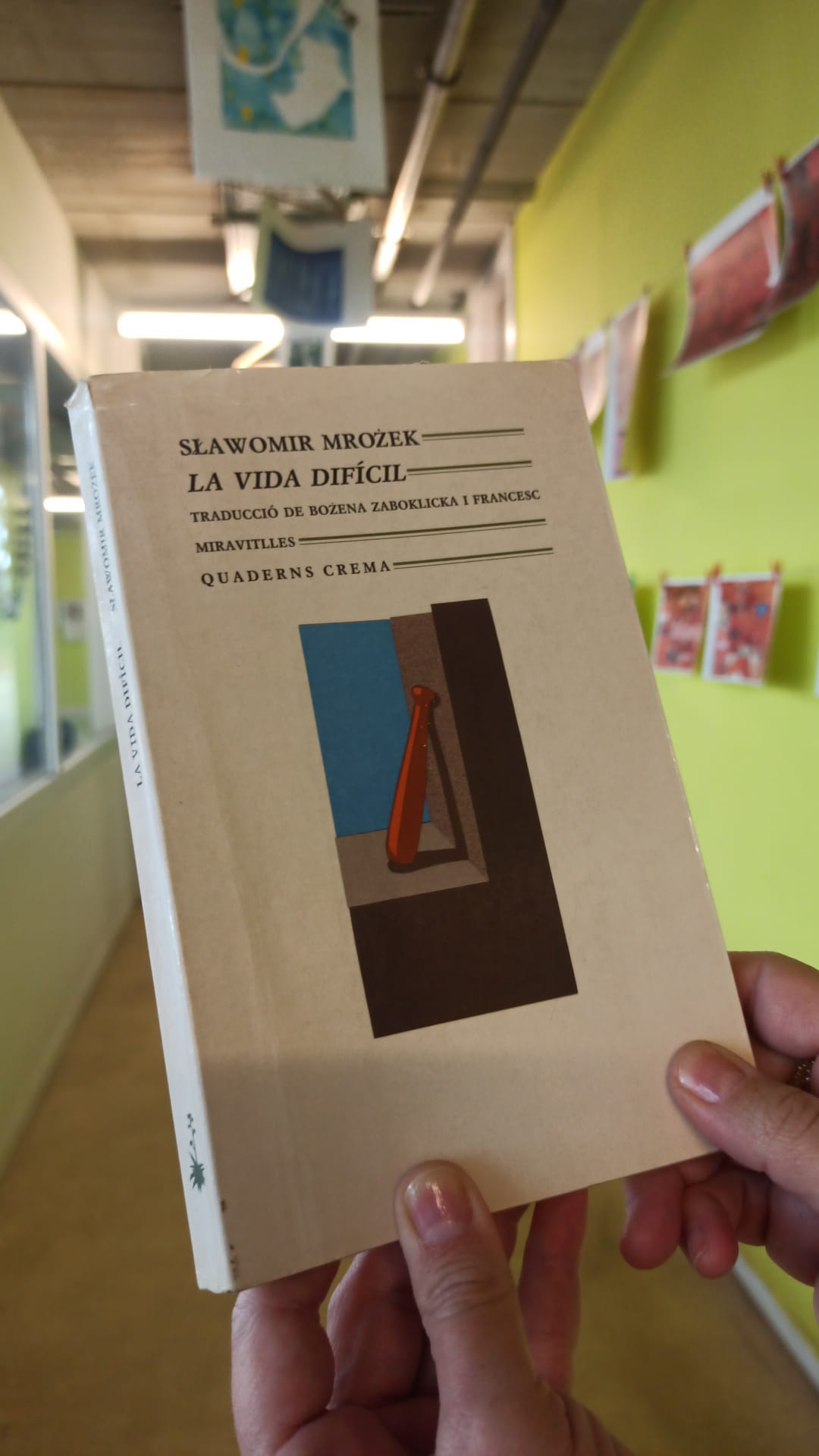 WhatsApp Image 2024-10-24 at 08.17.14