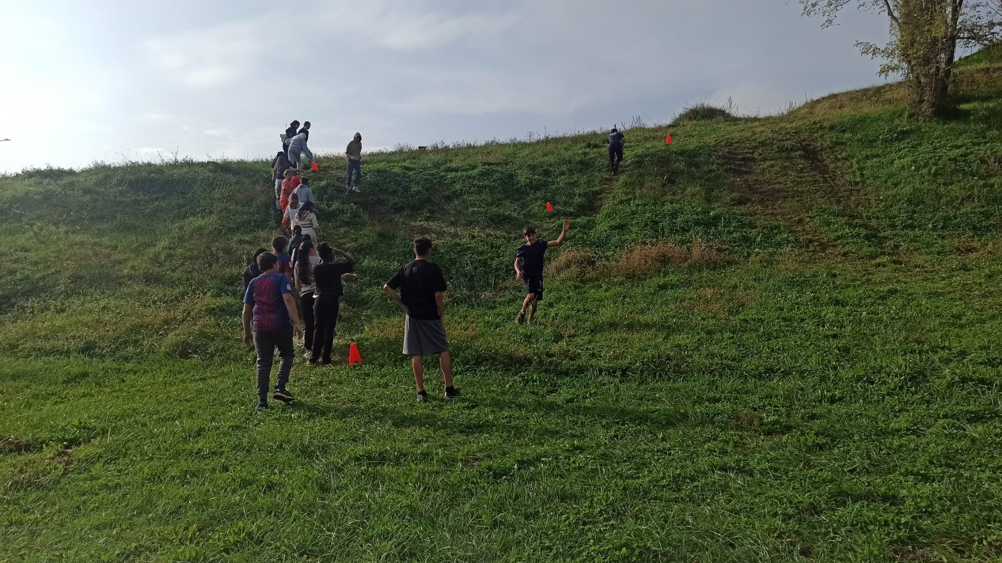 WhatsApp Image 2024-11-05 at 12.08.49