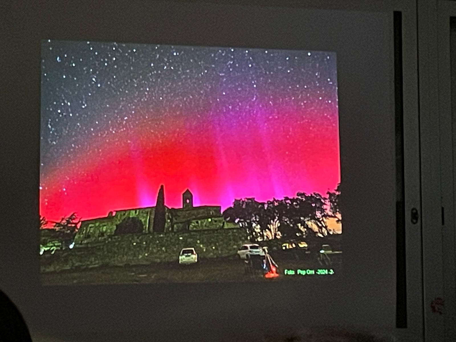 WhatsApp Image 2024-11-08 at 21.13.22