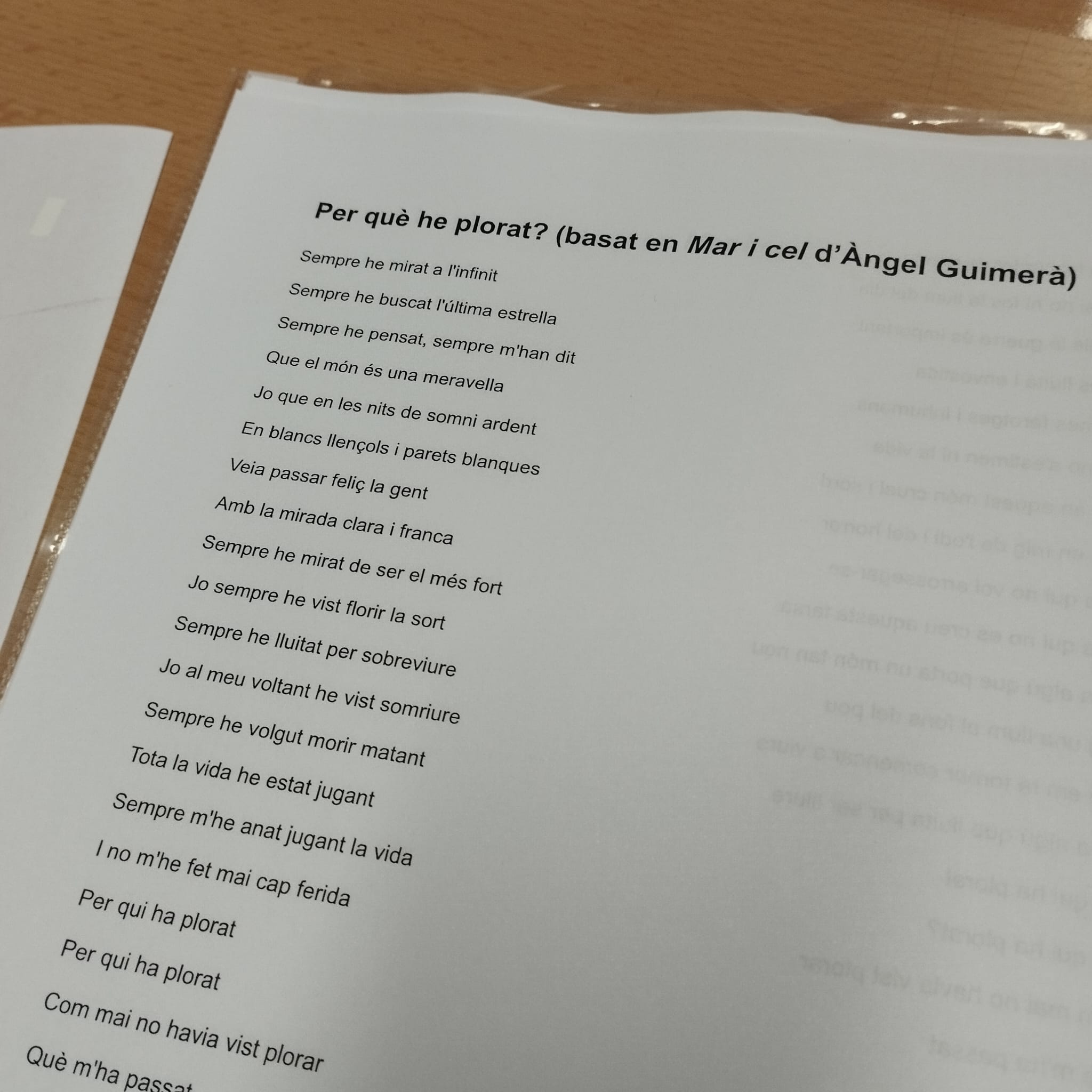 WhatsApp Image 2024-11-12 at 11.47.34