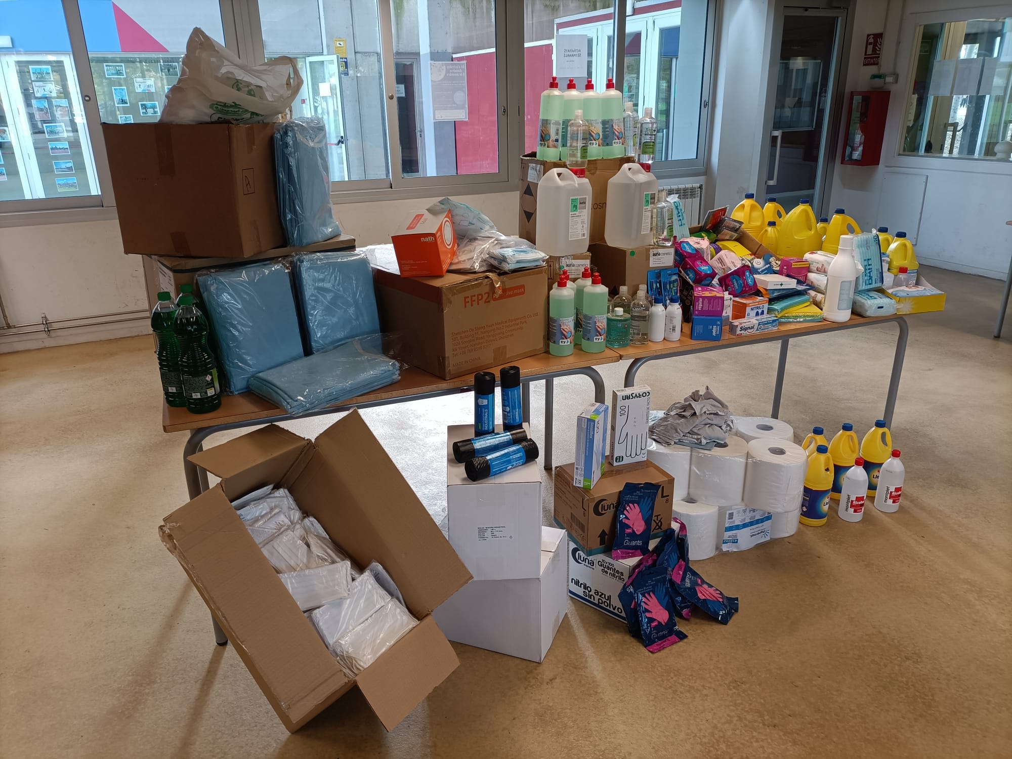 WhatsApp Image 2024-11-12 at 11.49.52