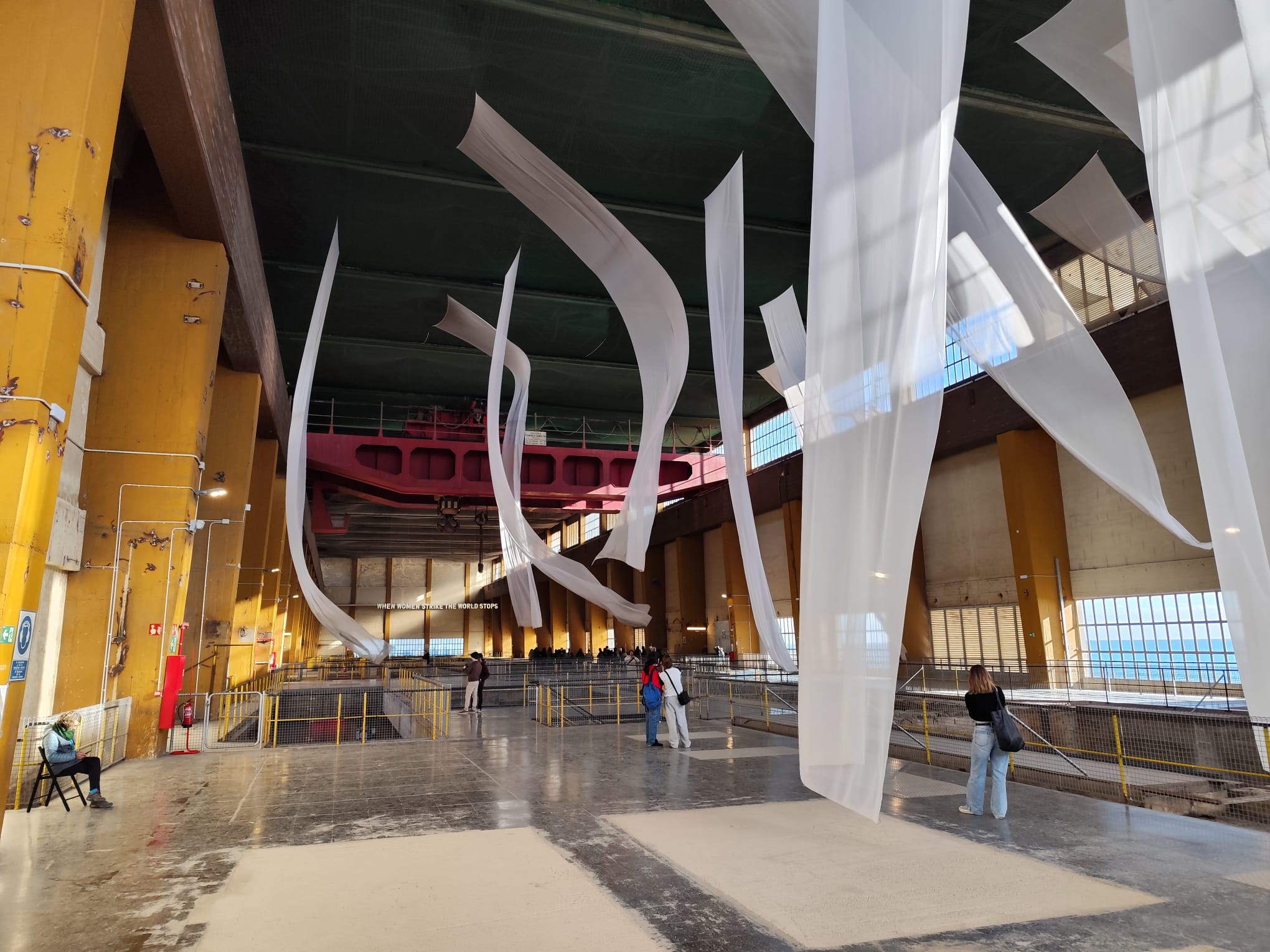 WhatsApp Image 2024-11-26 at 11.08.16