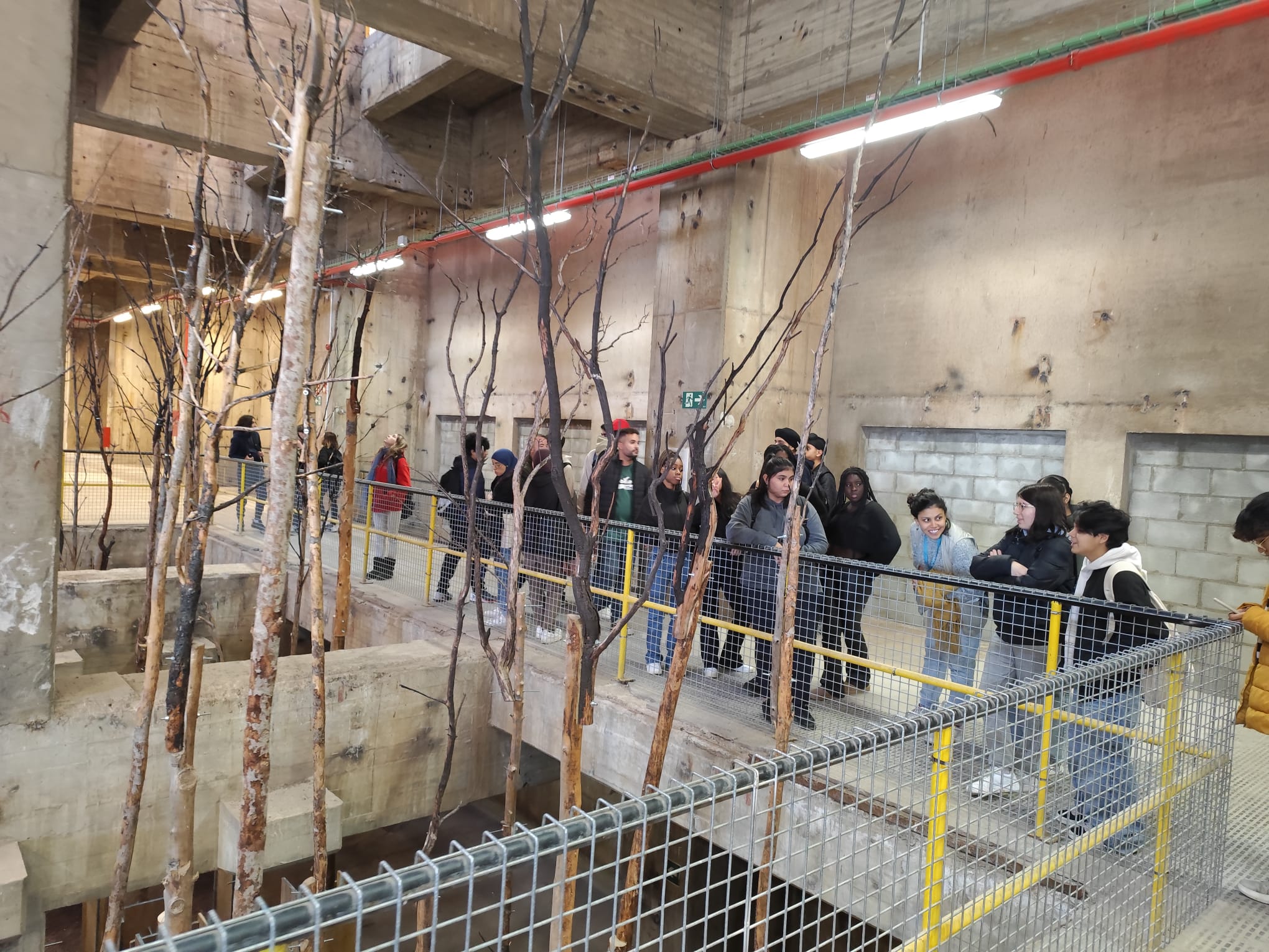 WhatsApp Image 2024-11-26 at 11.08.17