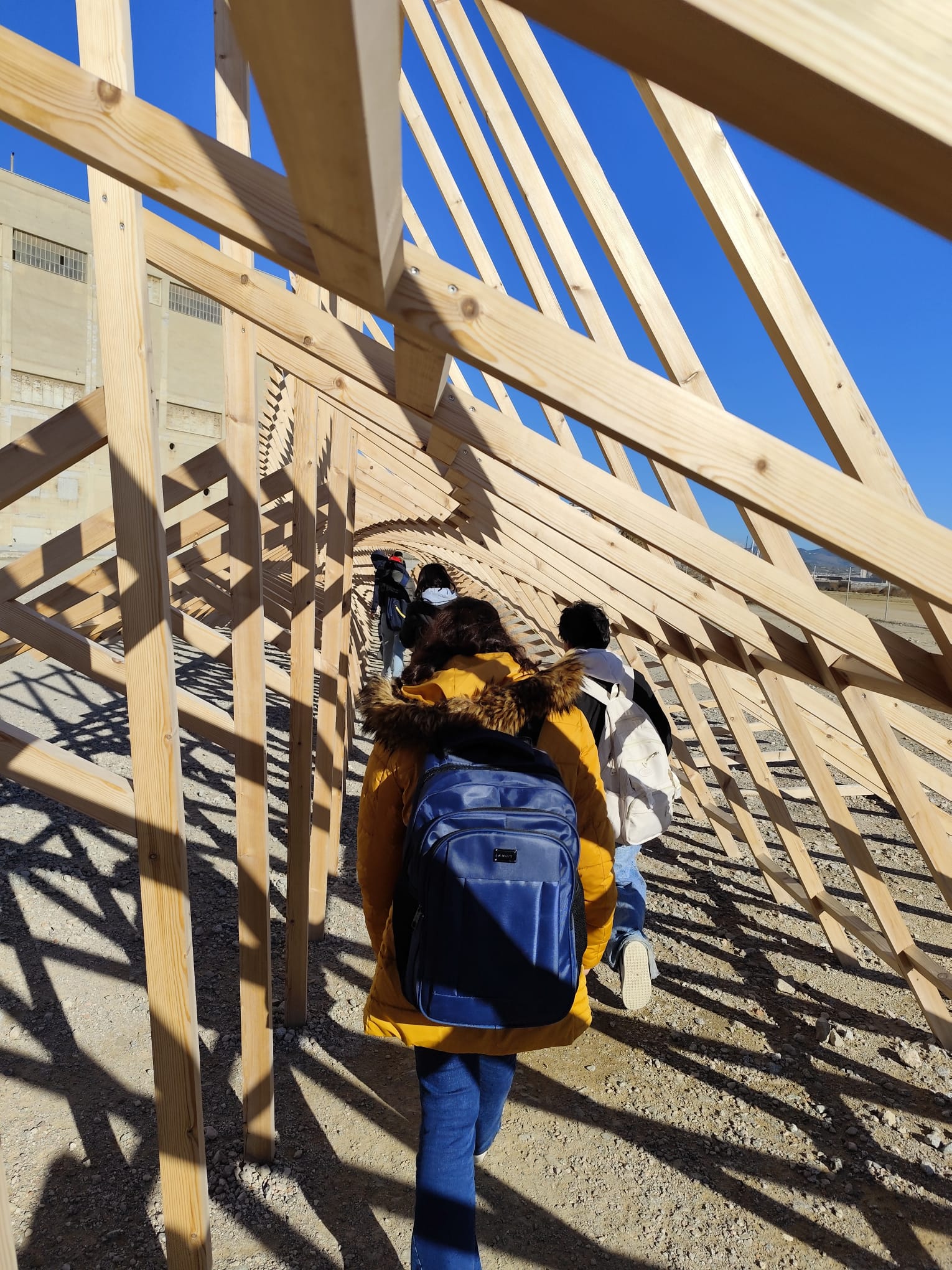 WhatsApp Image 2024-11-26 at 11.08.18