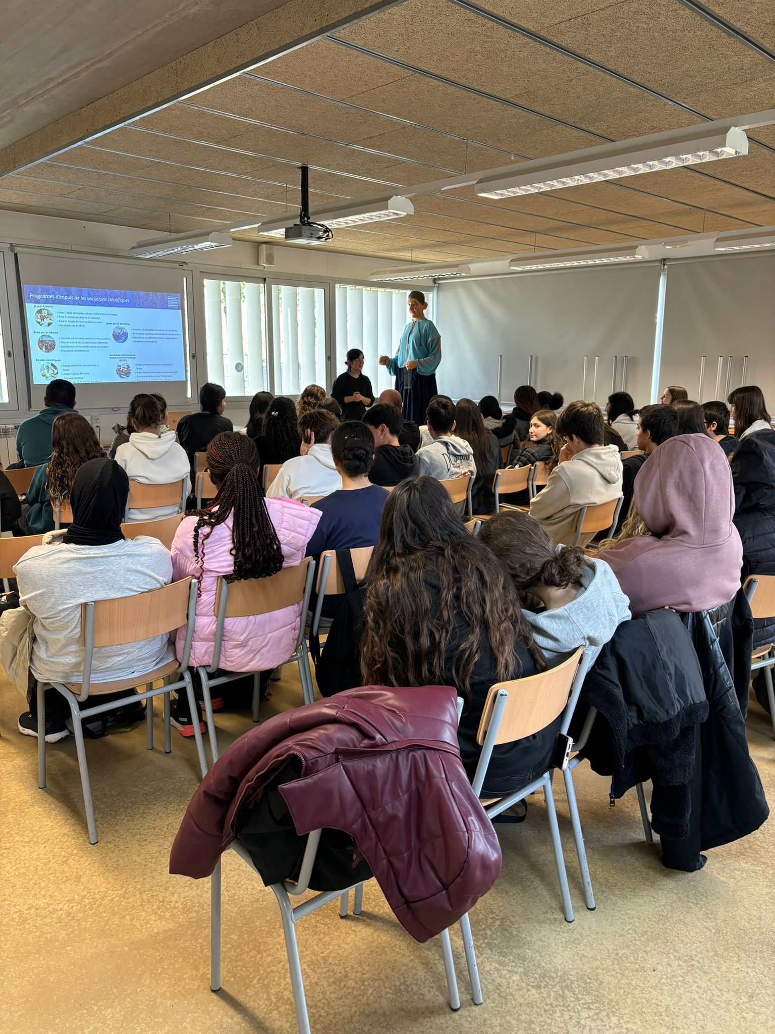 WhatsApp Image 2024-11-26 at 11.12.36