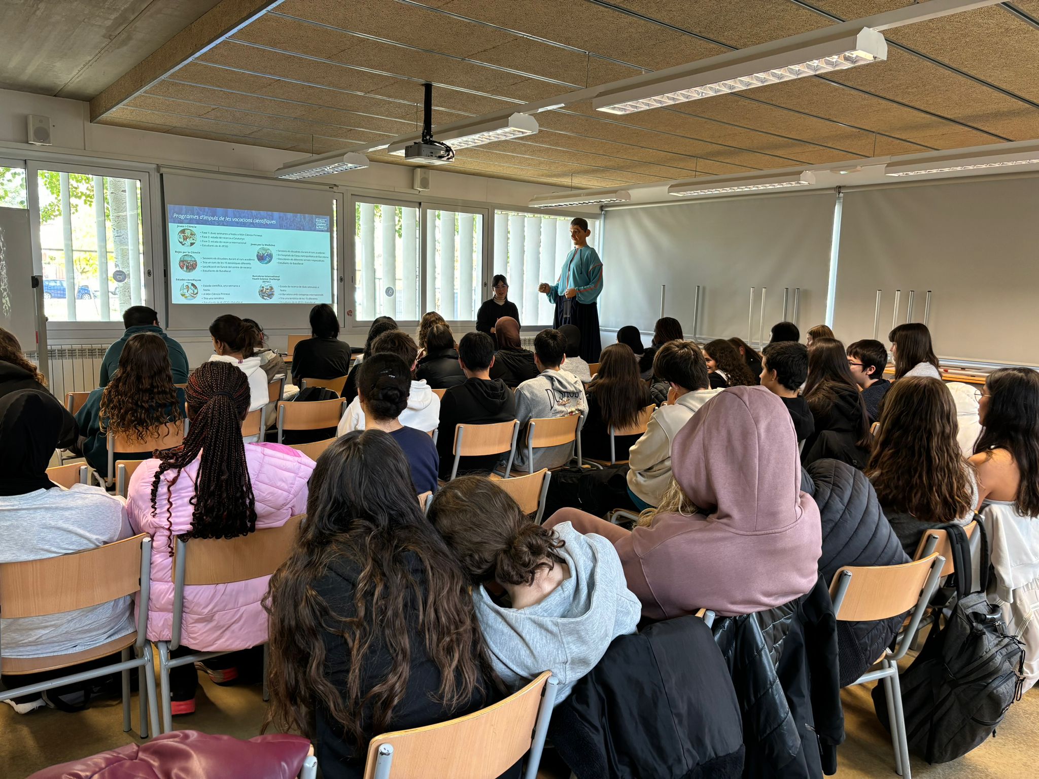 WhatsApp Image 2024-11-26 at 11.12.38