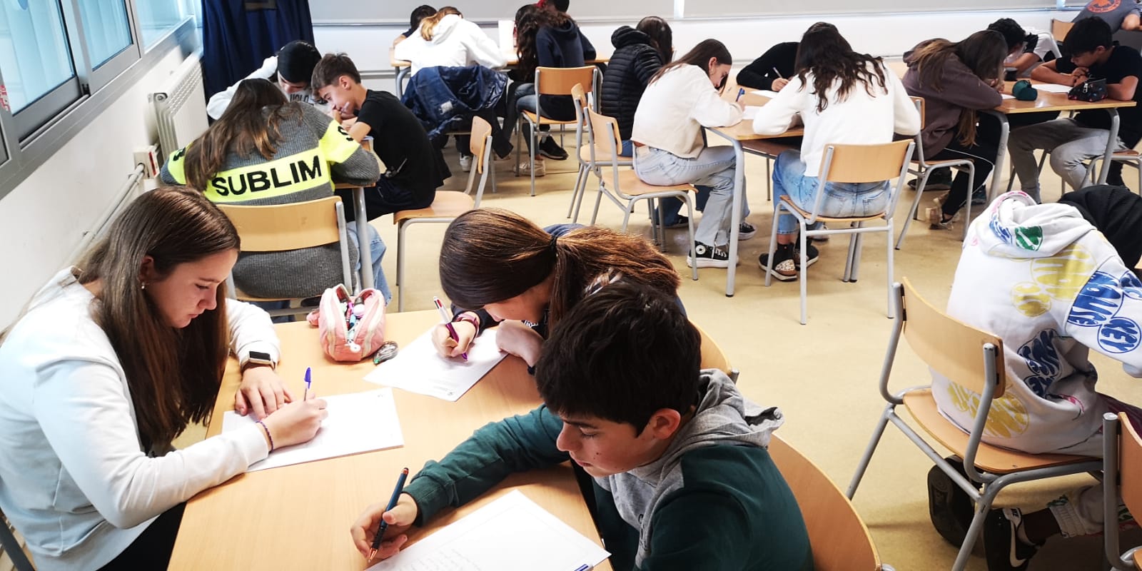 WhatsApp Image 2024-11-26 at 11.13.52