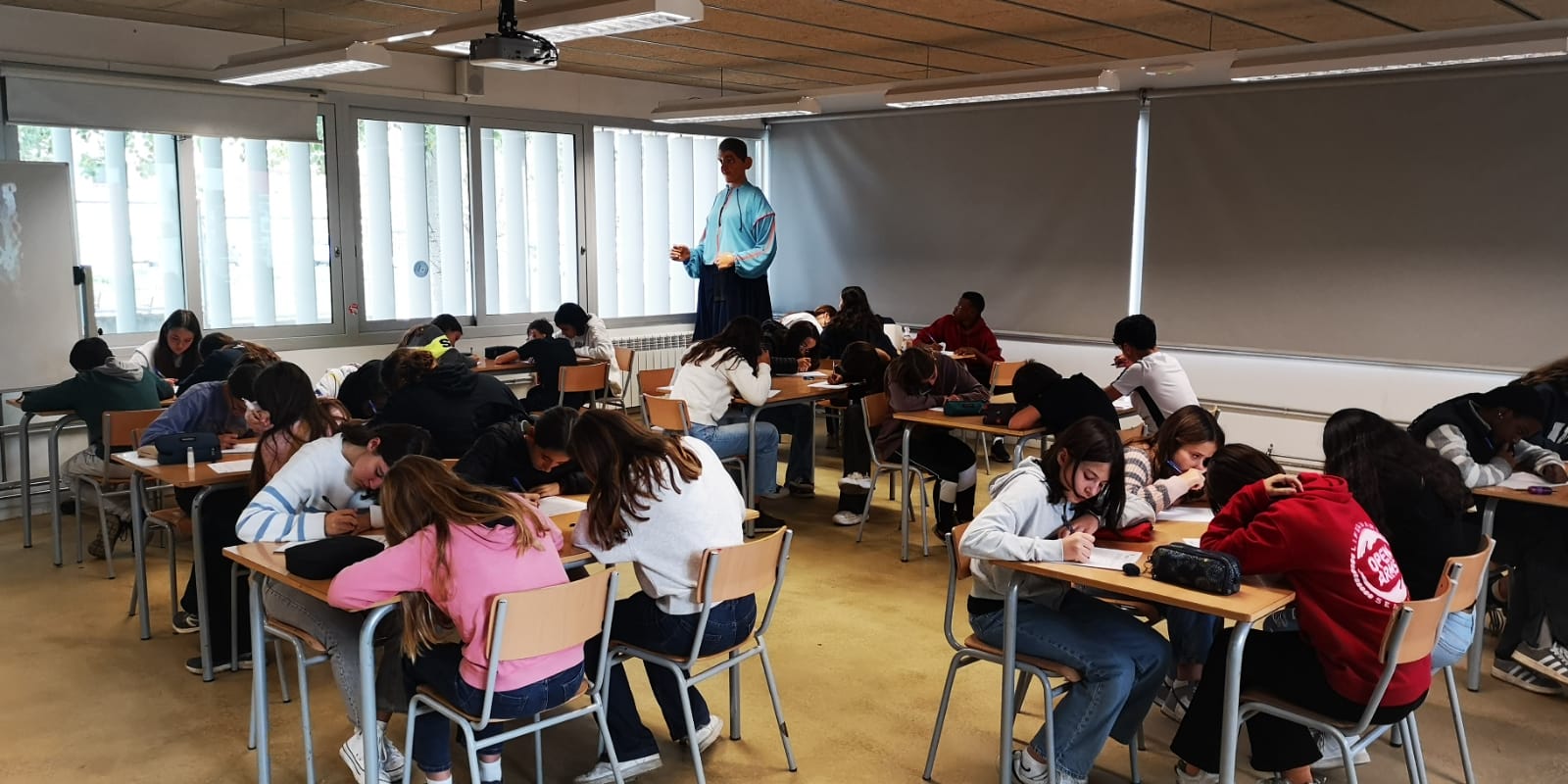 WhatsApp Image 2024-11-26 at 11.14.14