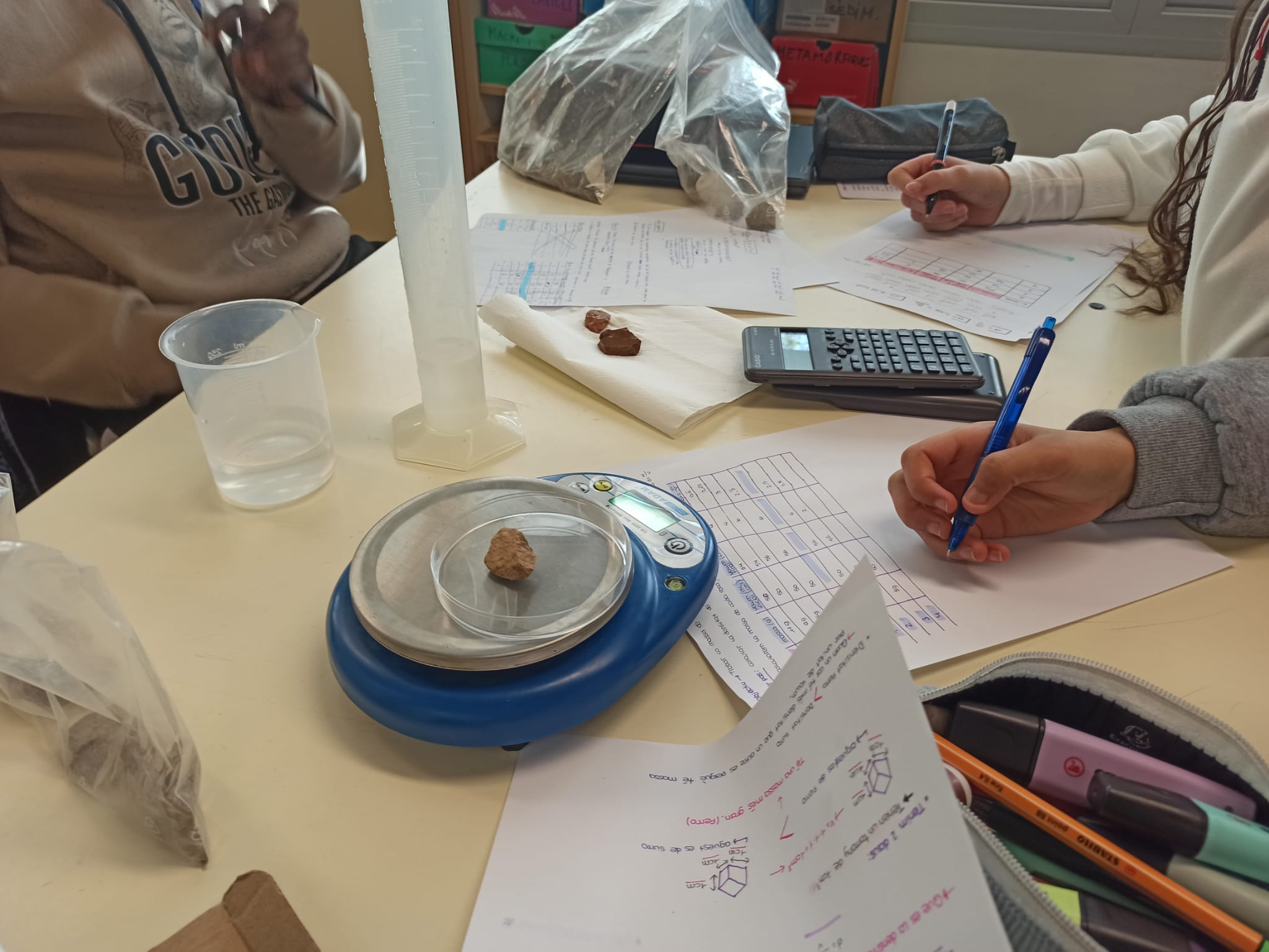 WhatsApp Image 2024-11-26 at 11.16.05