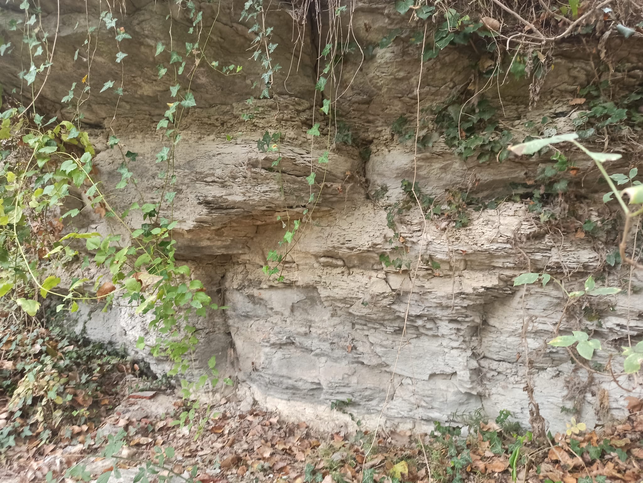 WhatsApp Image 2024-11-26 at 11.16.08