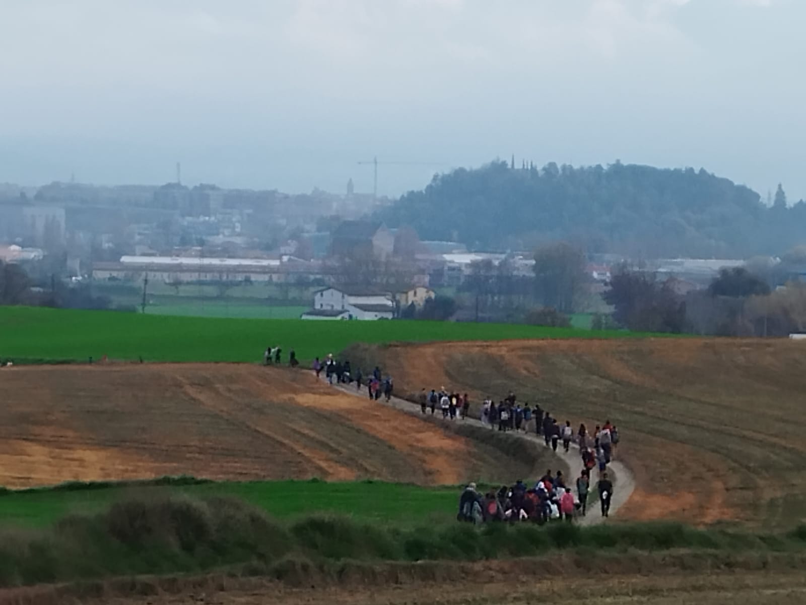 WhatsApp Image 2024-12-17 at 12.04.36 (4)