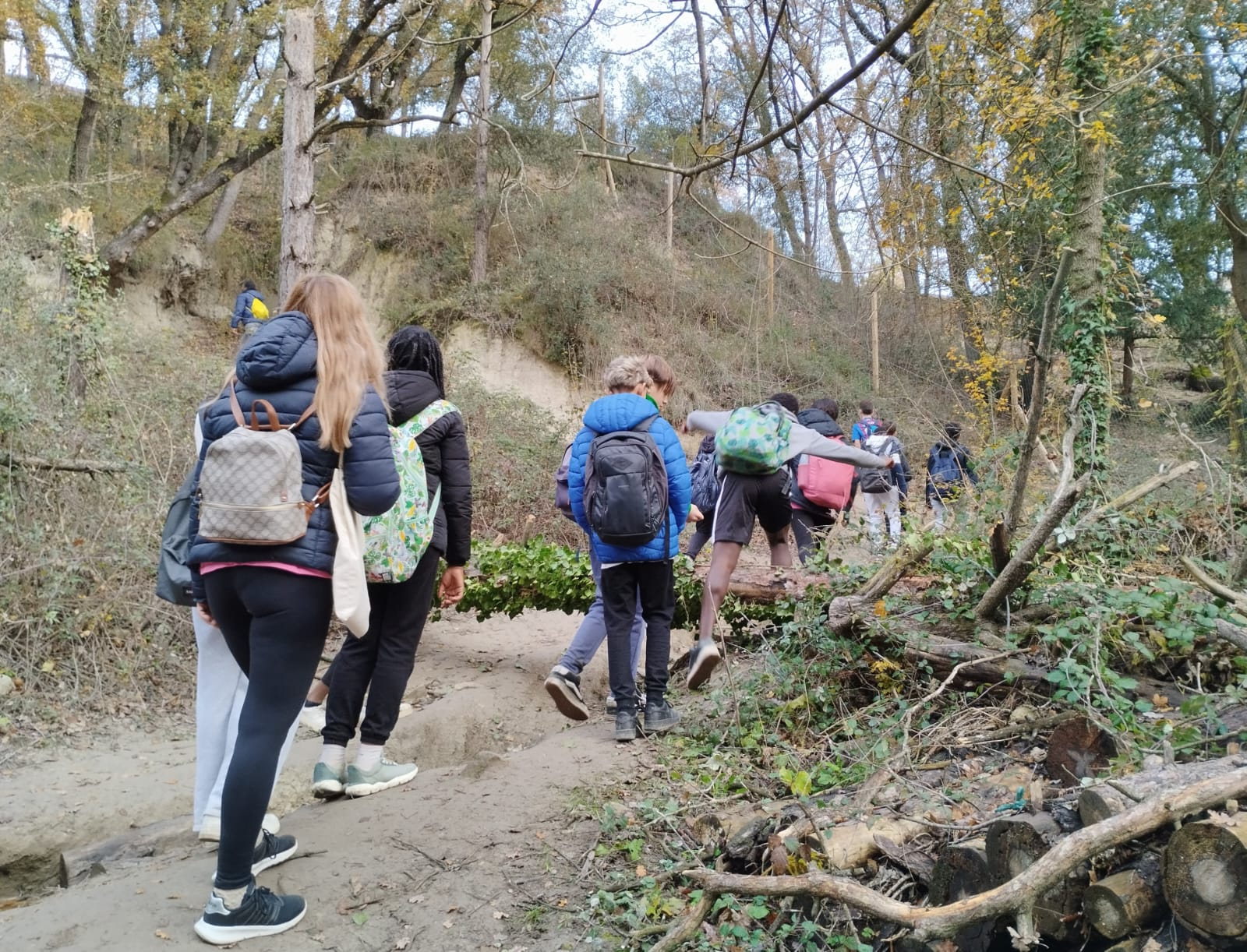 WhatsApp Image 2024-12-17 at 12.04.37