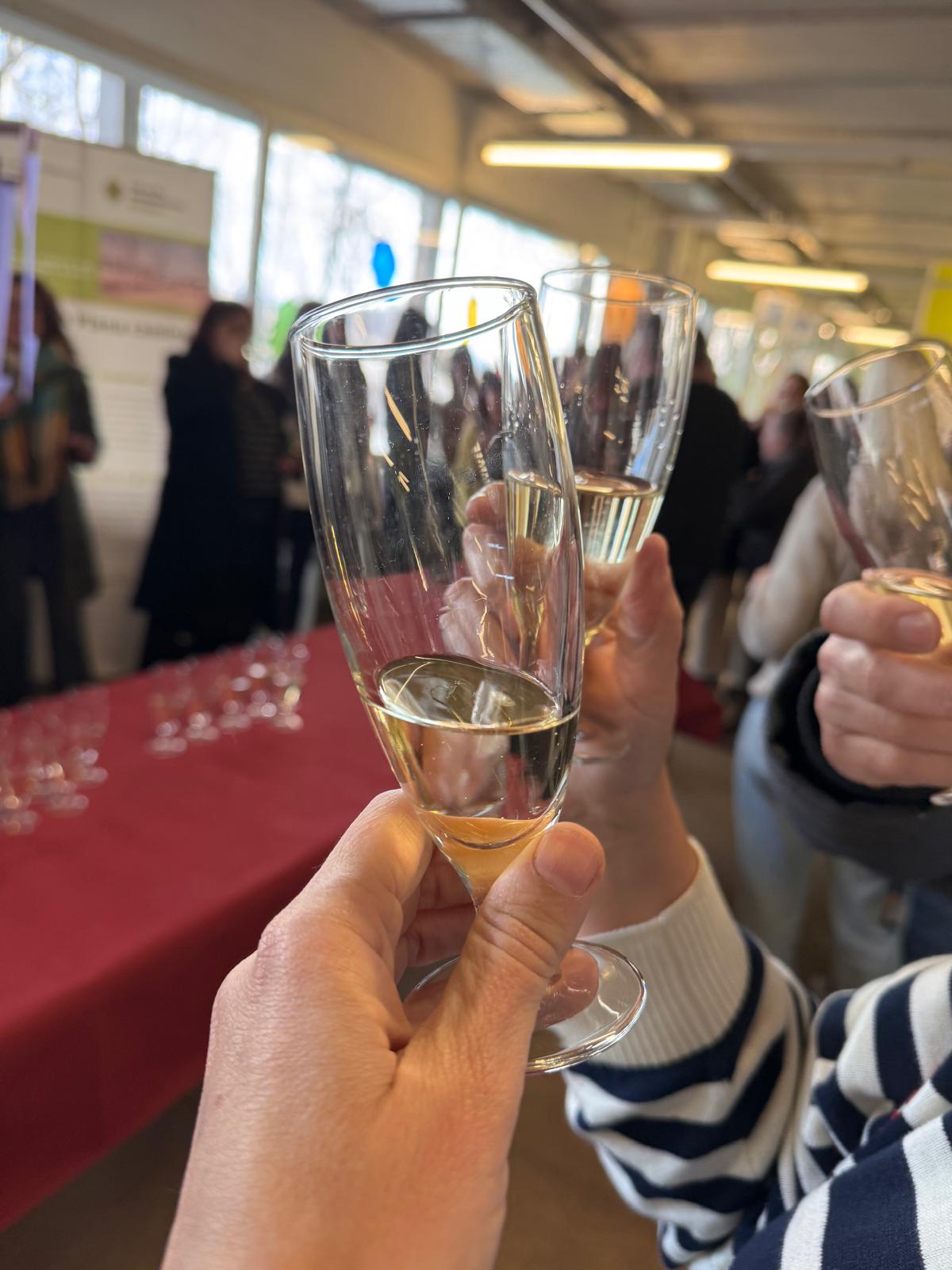 WhatsApp Image 2024-12-17 at 20.37.07