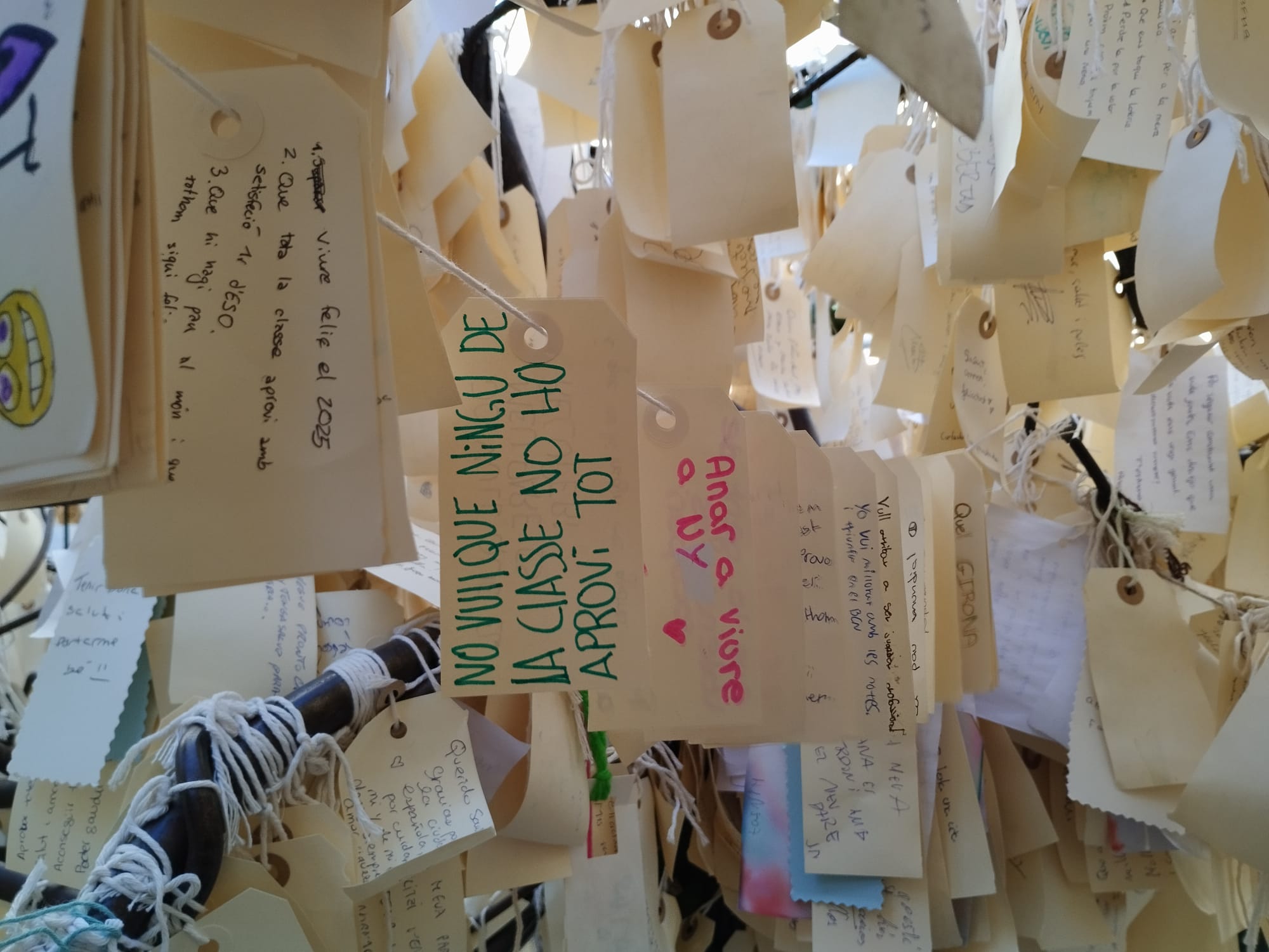 WhatsApp Image 2024-12-20 at 18.33.46