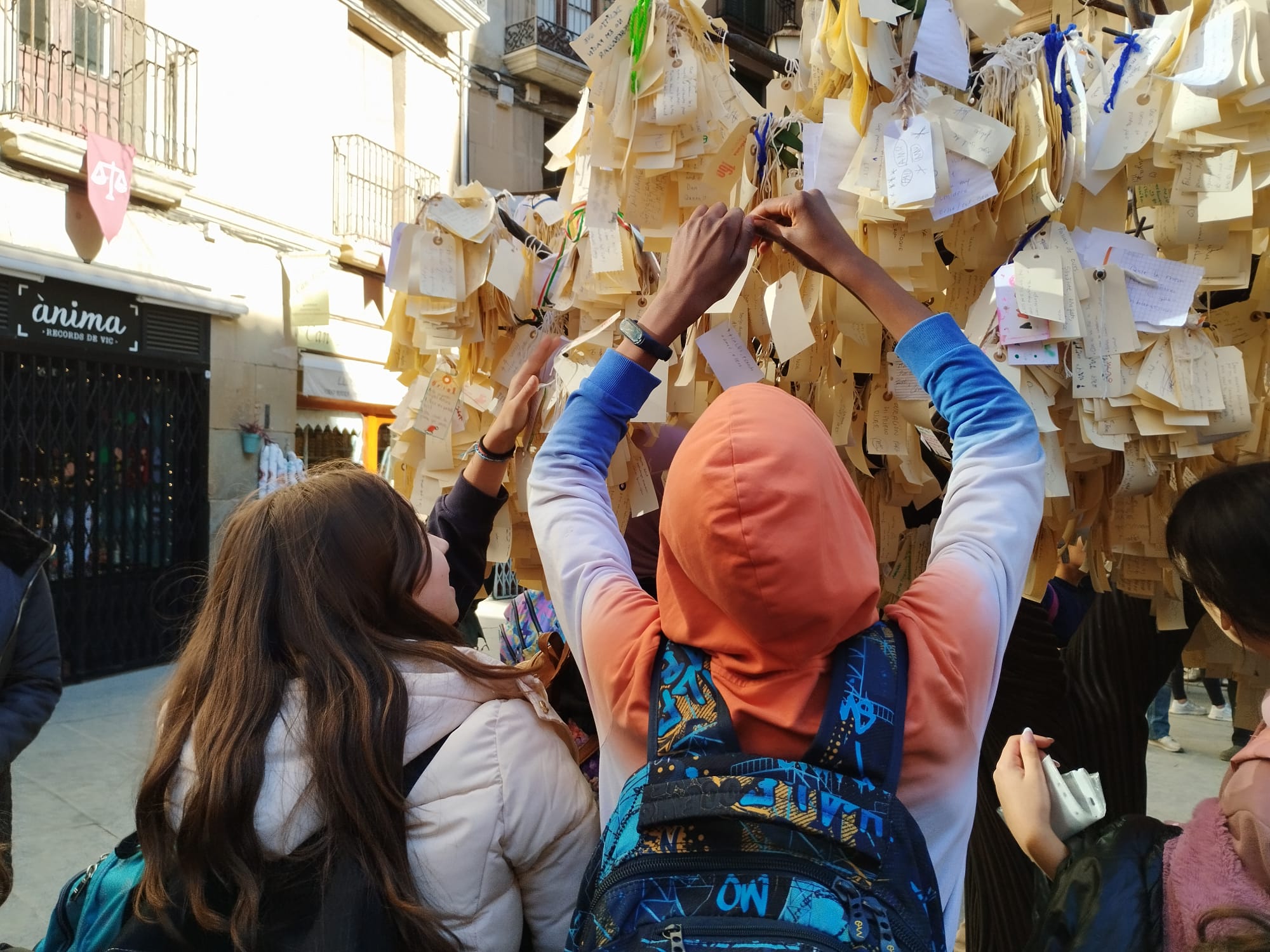 WhatsApp Image 2024-12-20 at 18.33.47 (2)