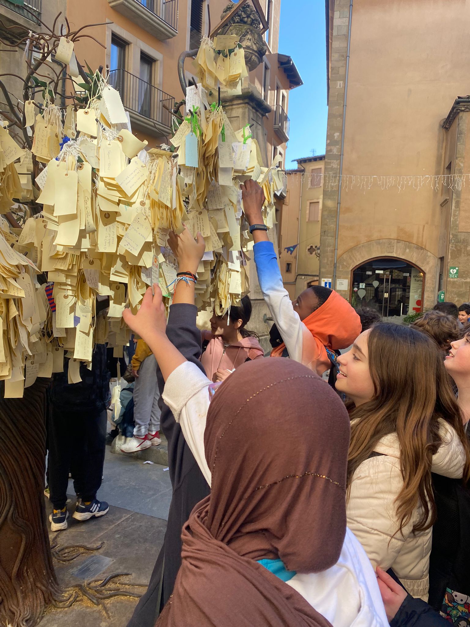 WhatsApp Image 2024-12-20 at 18.33.47