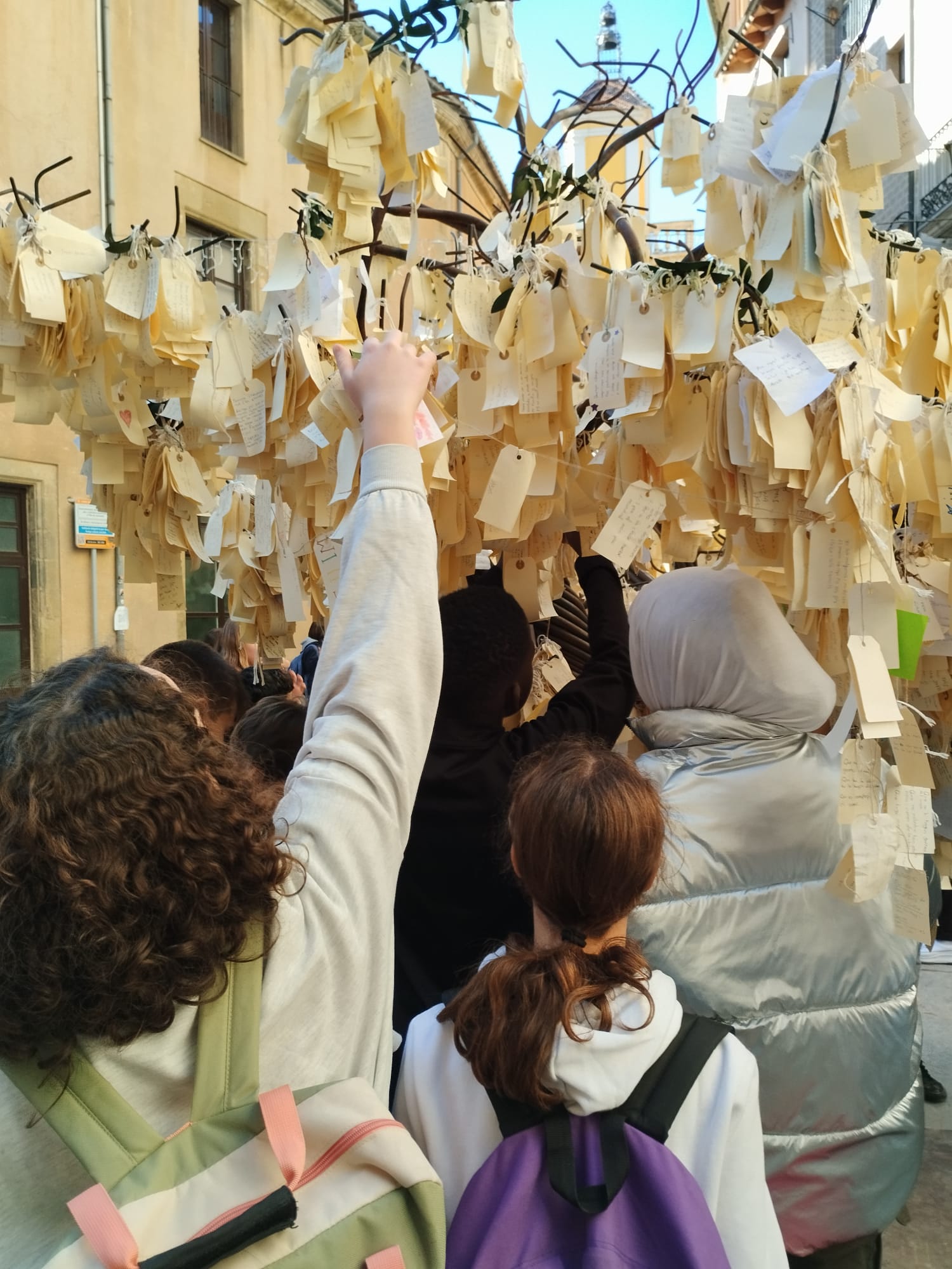 WhatsApp Image 2024-12-20 at 18.33.48 (1)