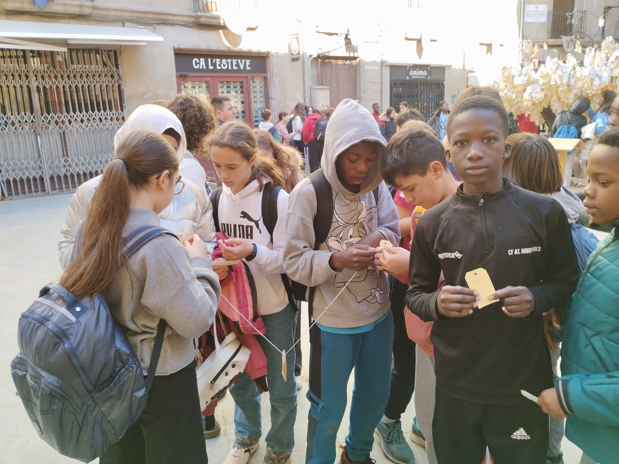 WhatsApp Image 2024-12-20 at 18.33.48