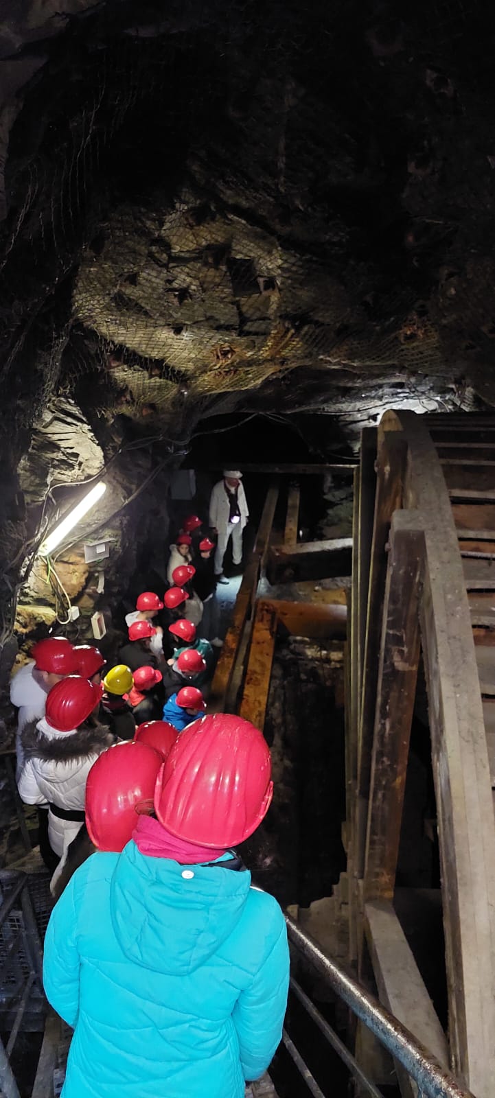 WhatsApp Image 2025-01-29 at 07.54.53 (2)