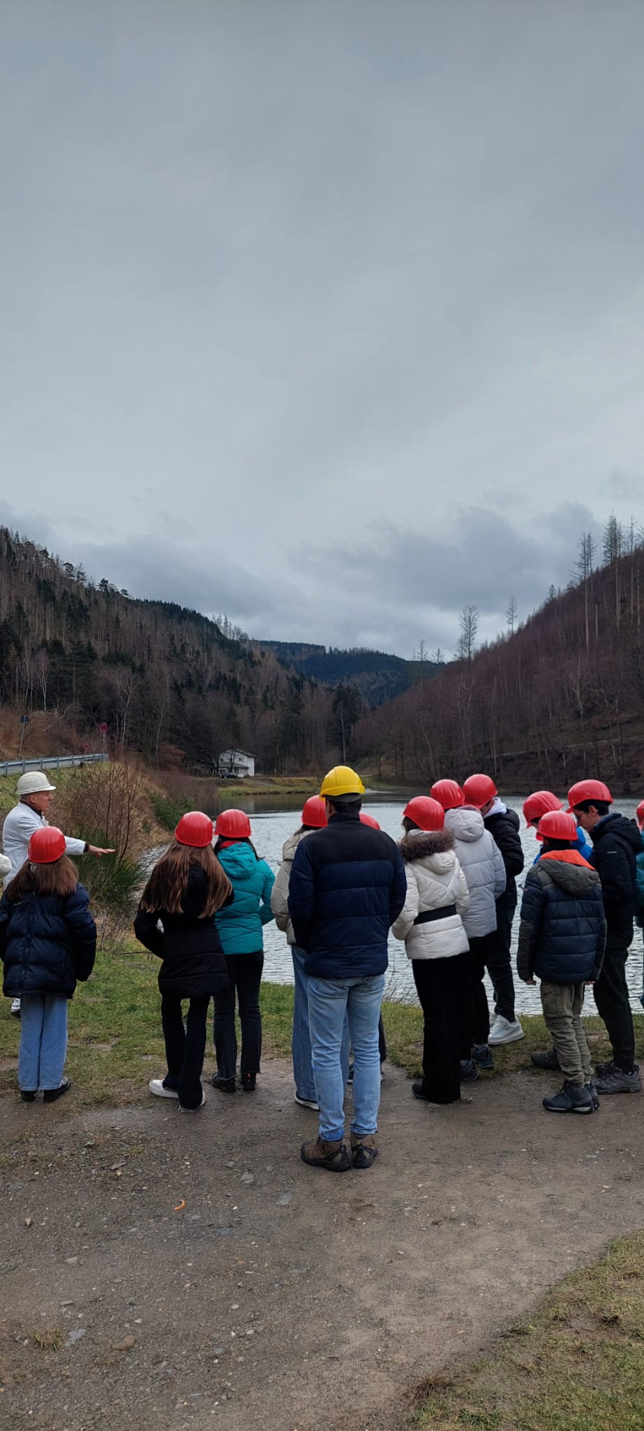 WhatsApp Image 2025-01-29 at 07.54.54