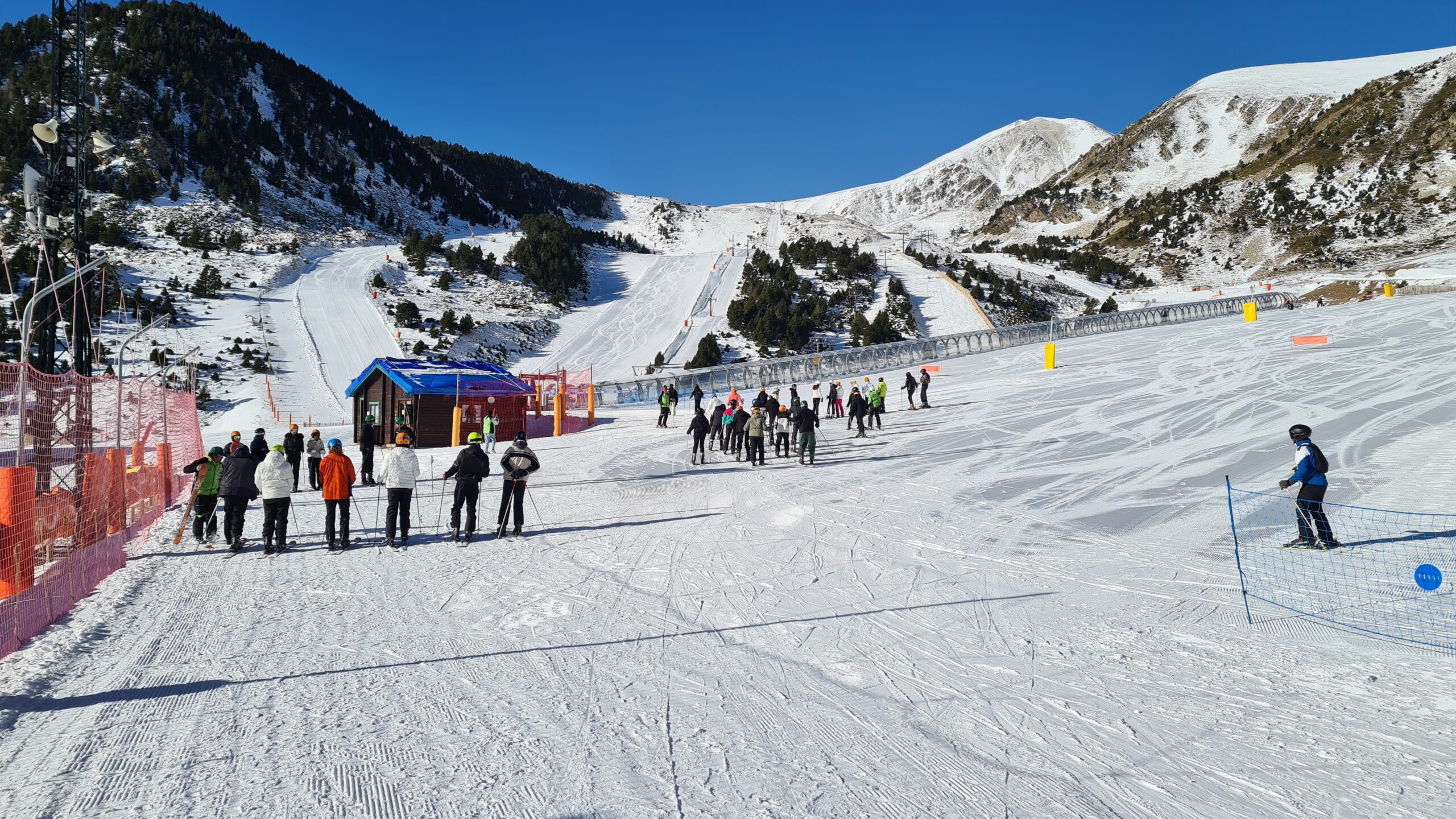 WhatsApp Image 2025-02-11 at 11.52.09 (1)