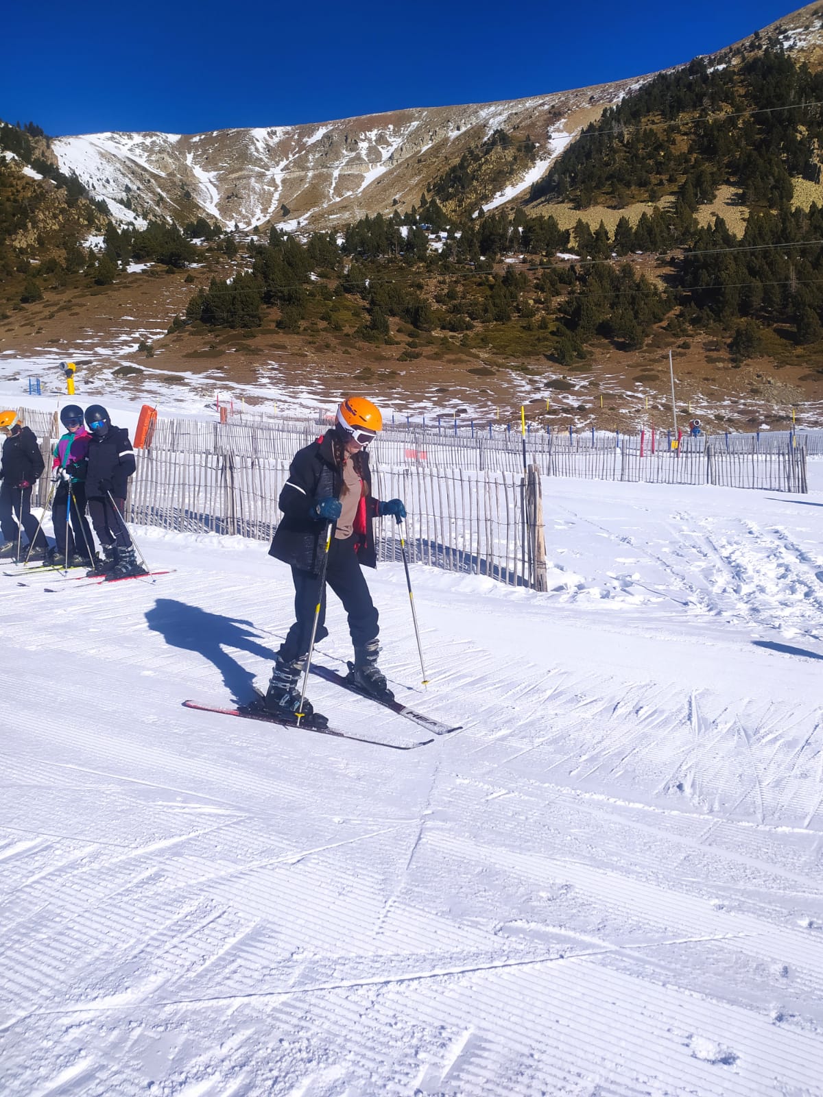 WhatsApp Image 2025-02-11 at 11.52.17 (1)