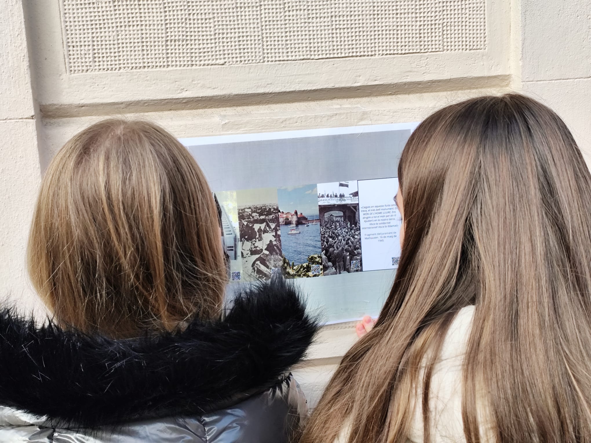 WhatsApp Image 2025-02-11 at 11.59.32