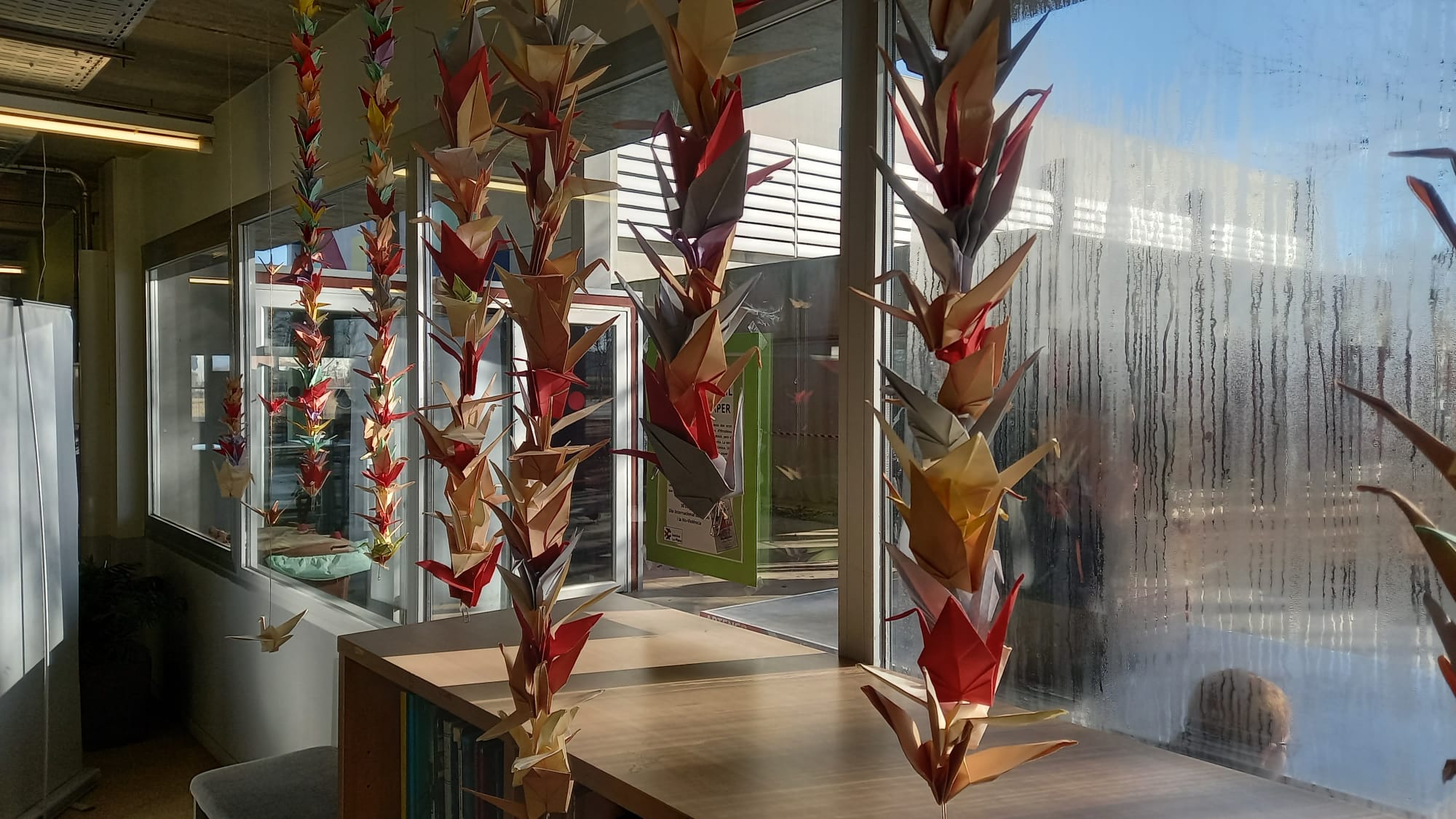 WhatsApp Image 2025-02-11 at 12.01.43