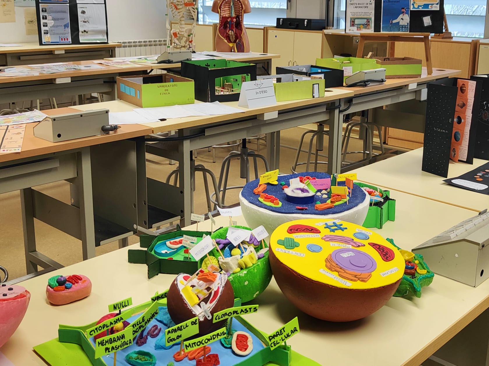 WhatsApp Image 2025-02-22 at 16.44.17