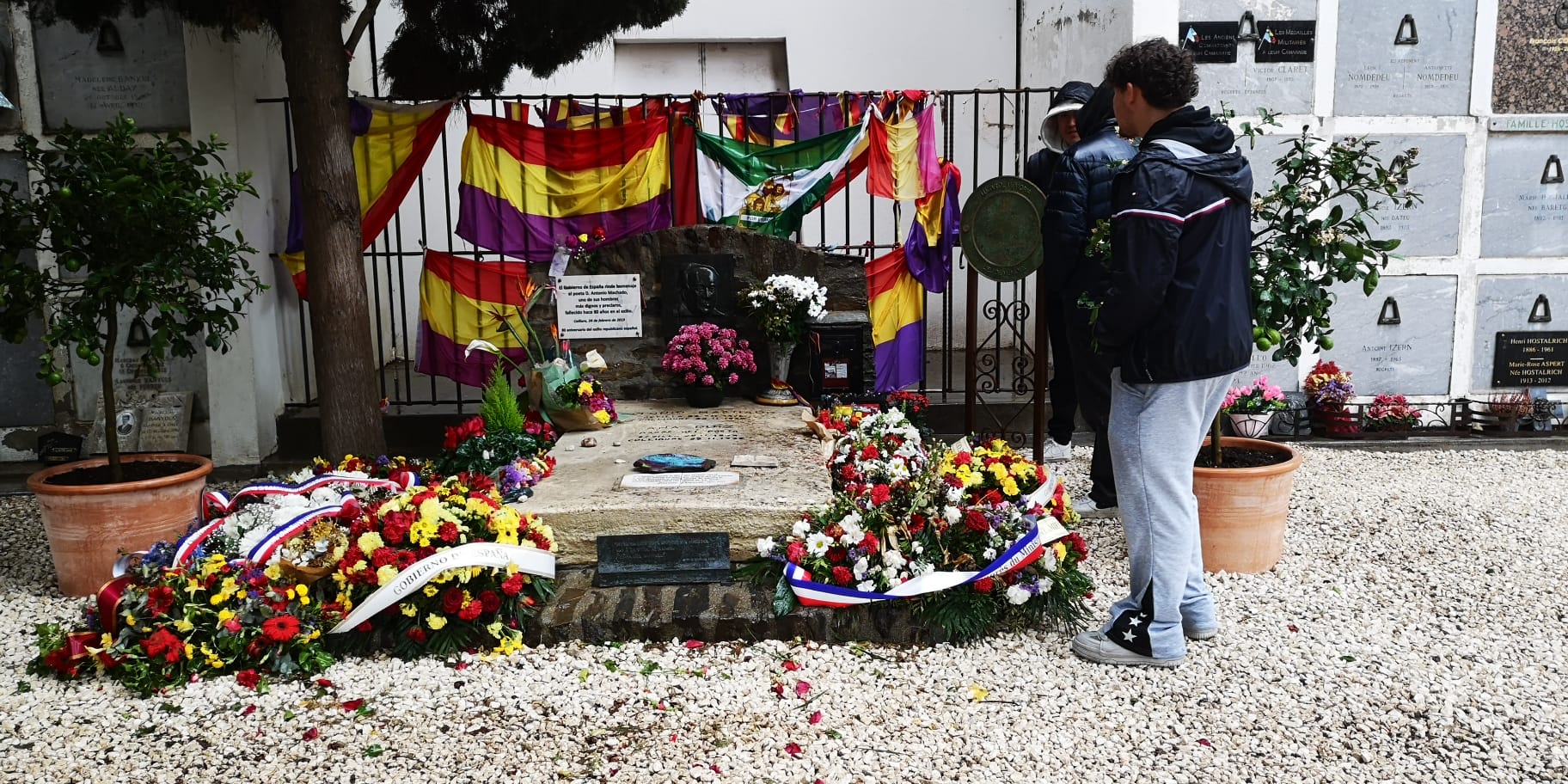 WhatsApp Image 2025-03-07 at 21.09.17