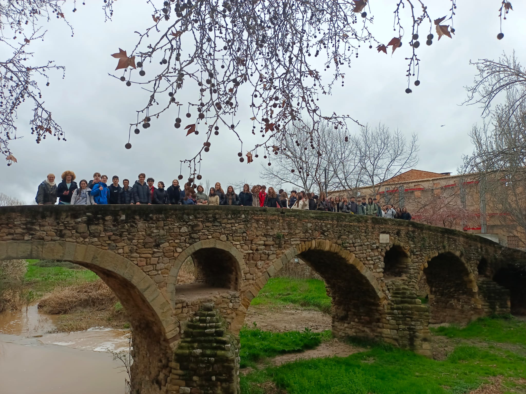 WhatsApp Image 2025-03-20 at 7.37.13 PM (1)