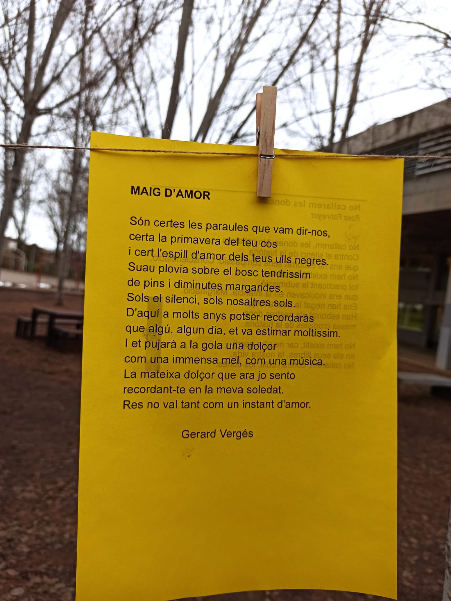 WhatsApp Image 2025-03-21 at 5.26.36 PM