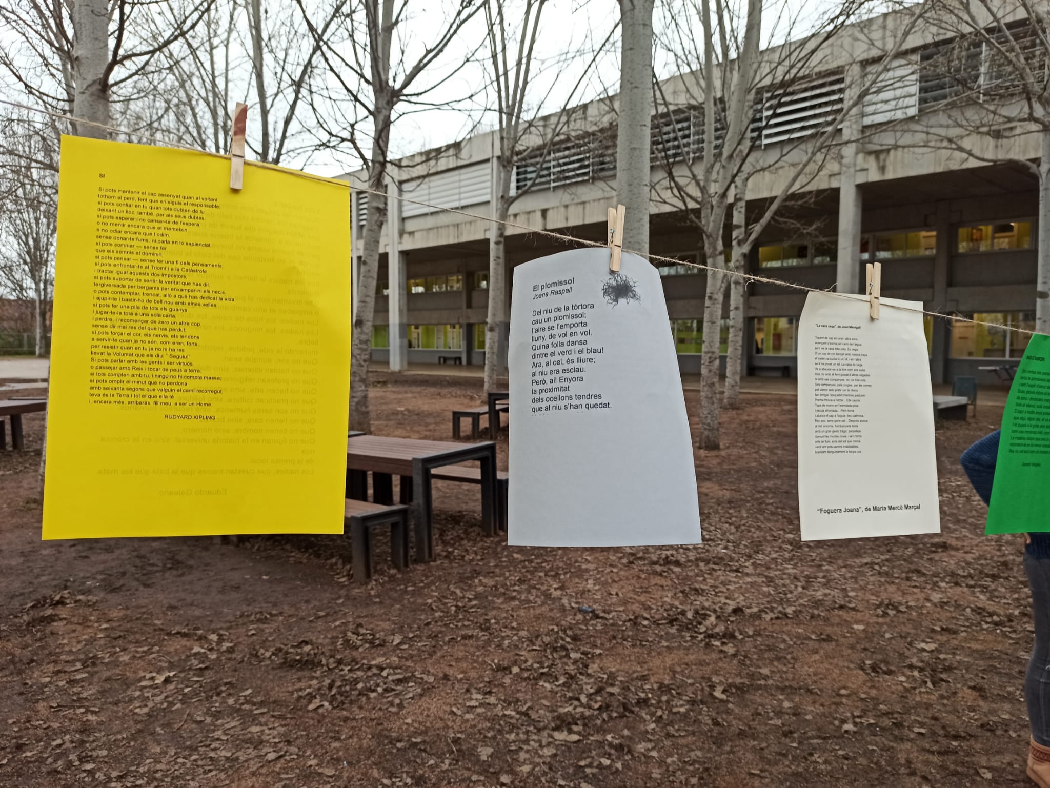 WhatsApp Image 2025-03-21 at 5.26.37 PM