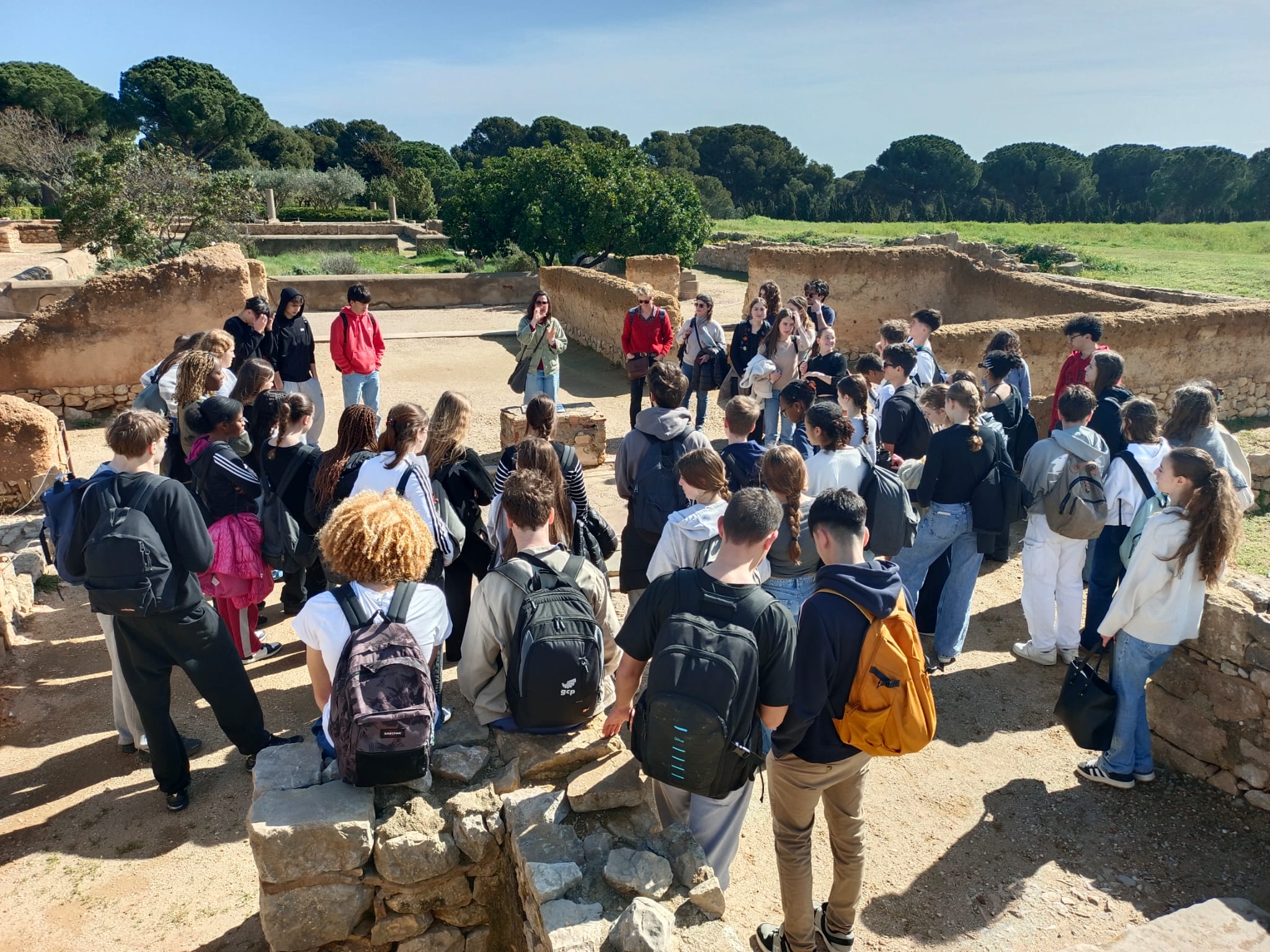 WhatsApp Image 2025-03-22 at 6.49.32 PM