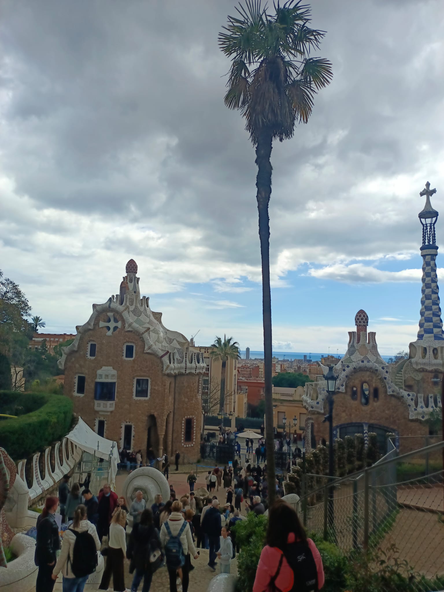 WhatsApp Image 2025-03-26 at 7.47.10 AM