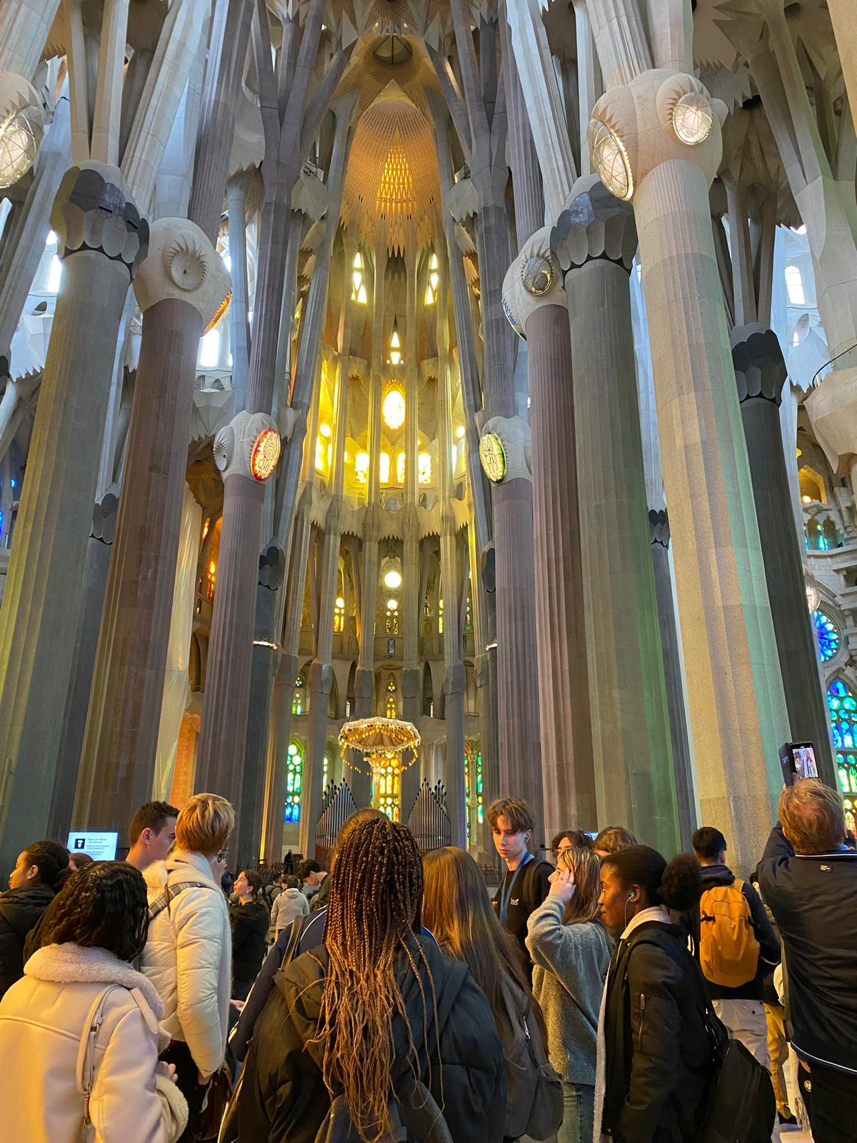 WhatsApp Image 2025-03-26 at 7.47.11 AM (1)