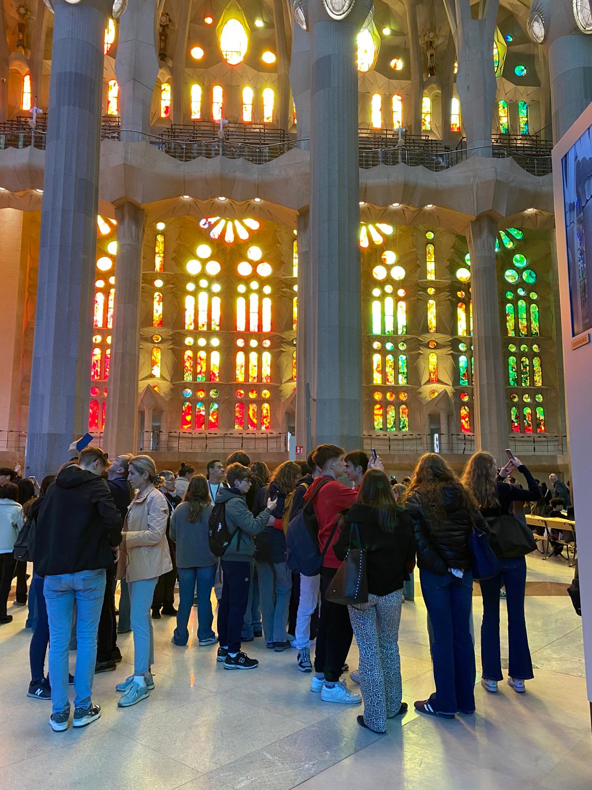 WhatsApp Image 2025-03-26 at 7.47.11 AM